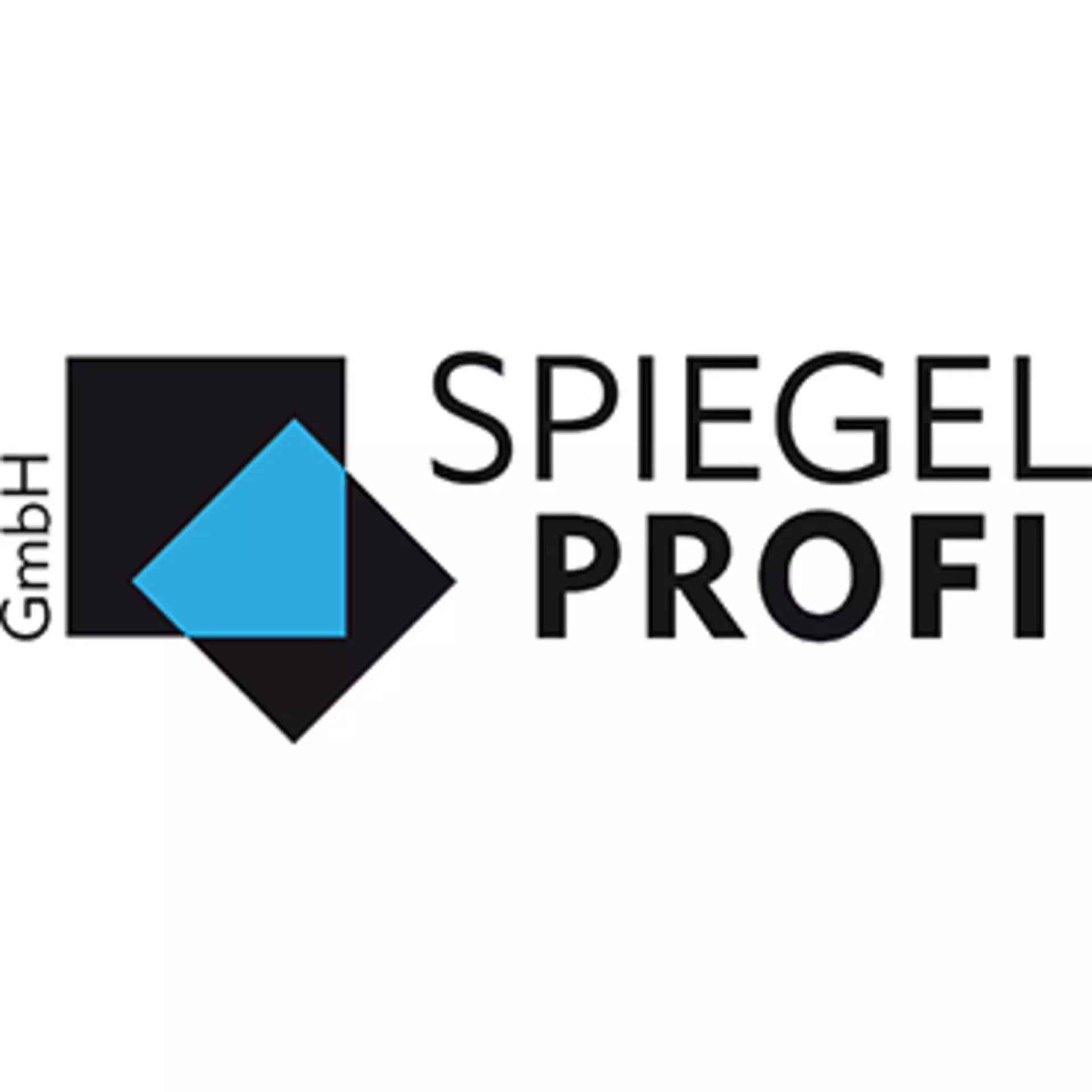 Marken Logo  SPIEGEL PROFI