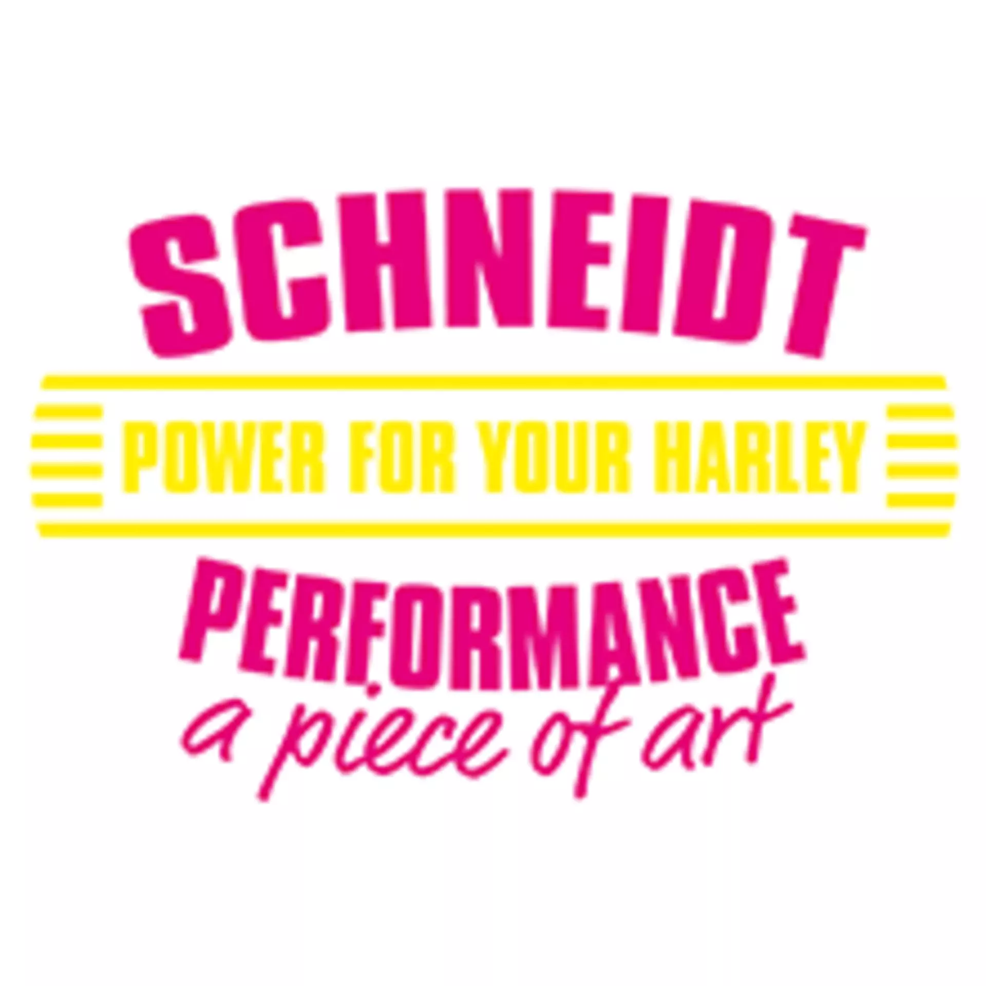 Schneidt Performance beim US-Car Treffen bei Möbel Inhofer in Senden