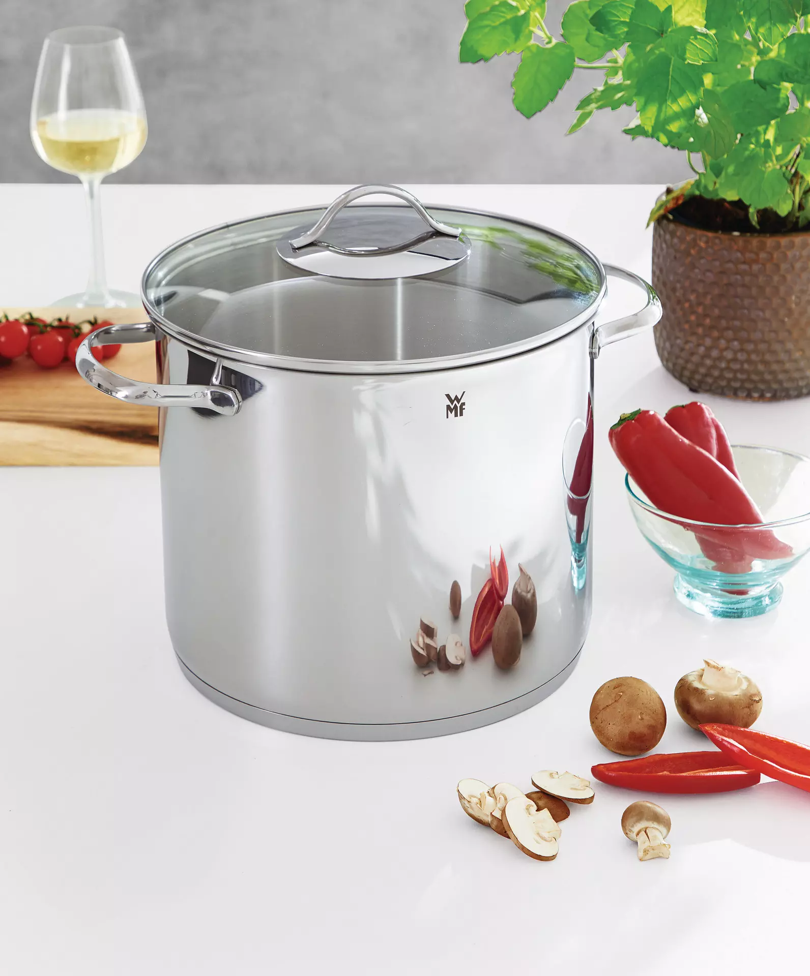 Topf Provence Plus WMF Metall 21 x 