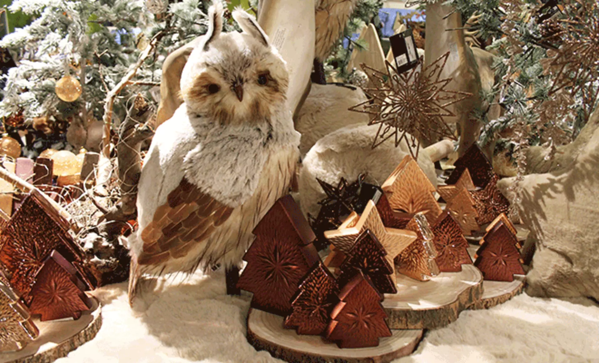 Die Winterwelt zieht ein - mit Eulen, Tannen und Holz