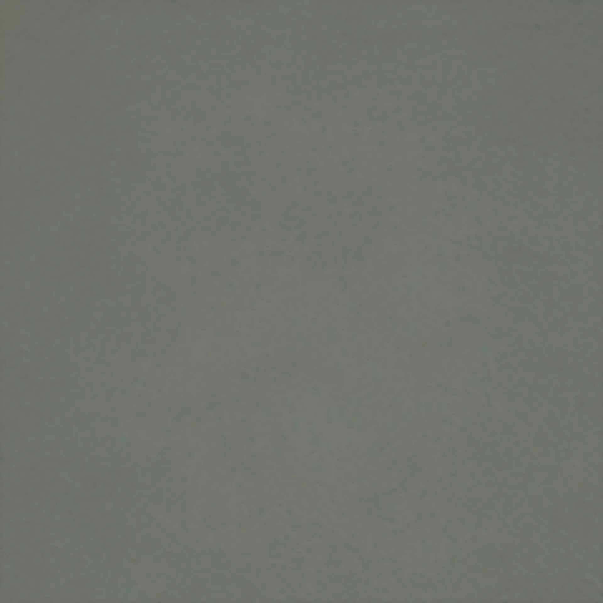 Paloma Sage Green Muster