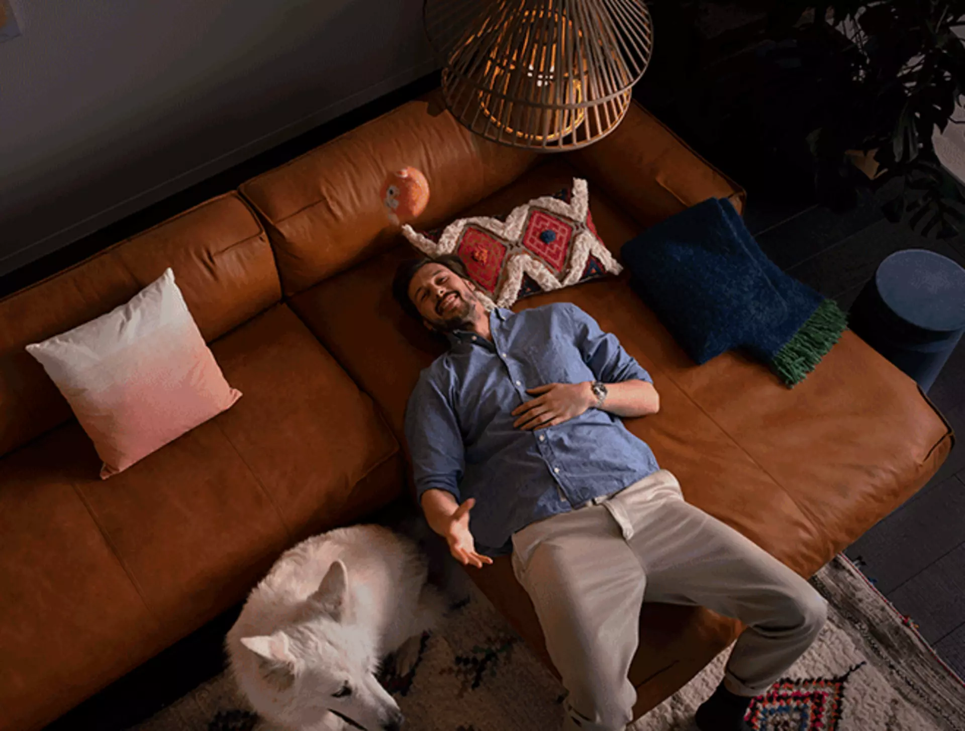 Mann mit Hund auf dunkelbraunem Ledersofa im modernen Boho-Wohnzimmer