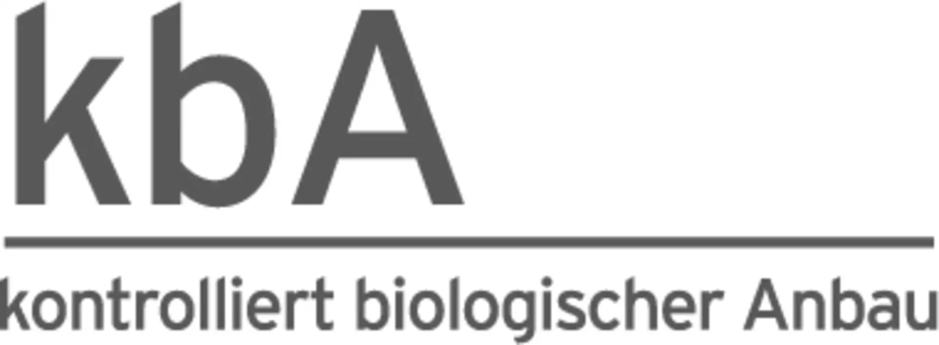 Kopfkissen Maila Kissen Badenia Irisette Textil 40 x 80 cm