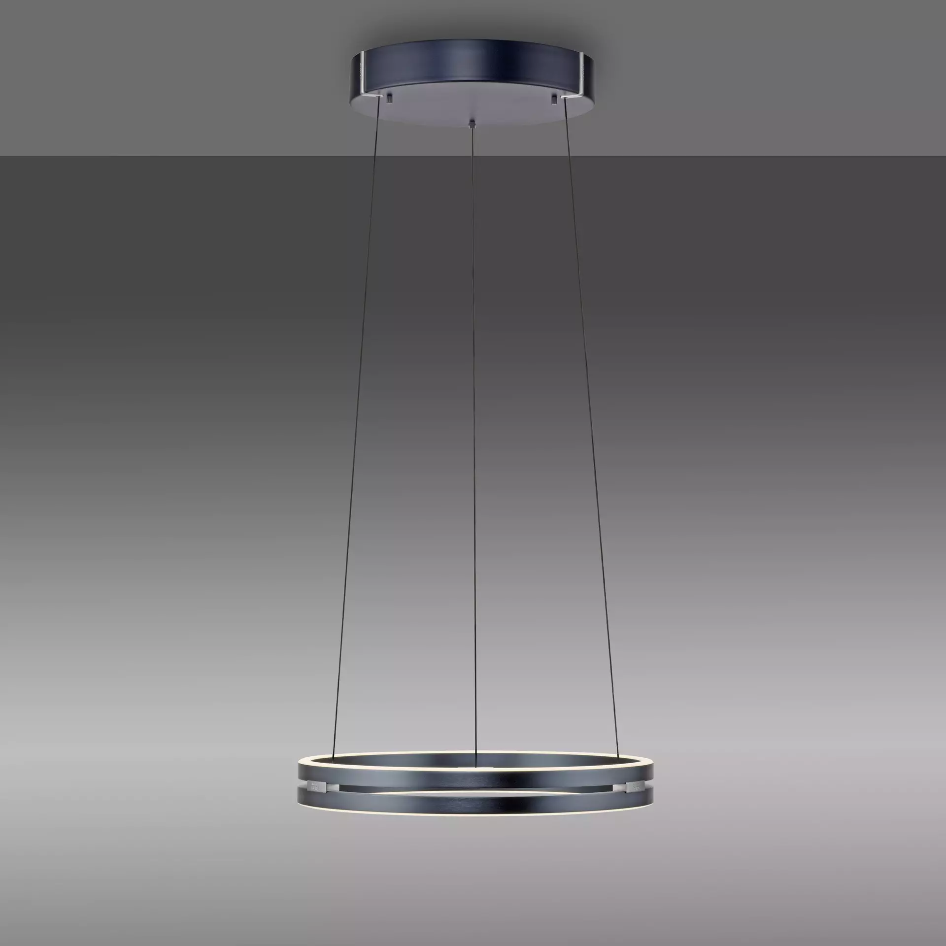 Hängeleuchte PURE E-Loop Paul Neuhaus Metall 50 x 350 x 50 cm