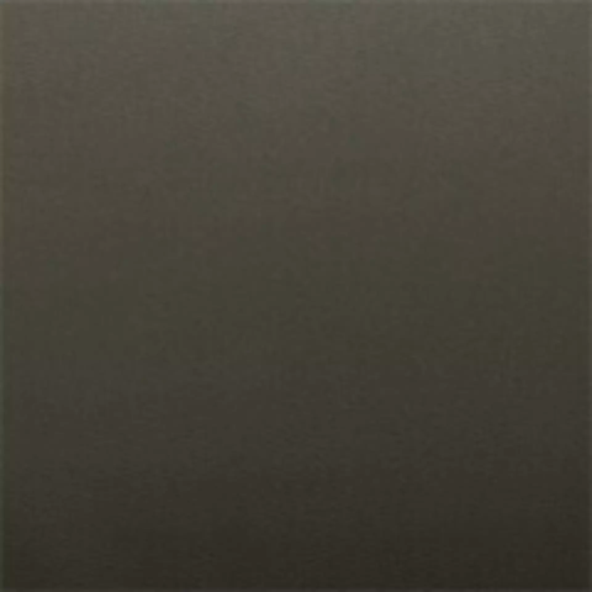 Paloma Dark Olive Muster