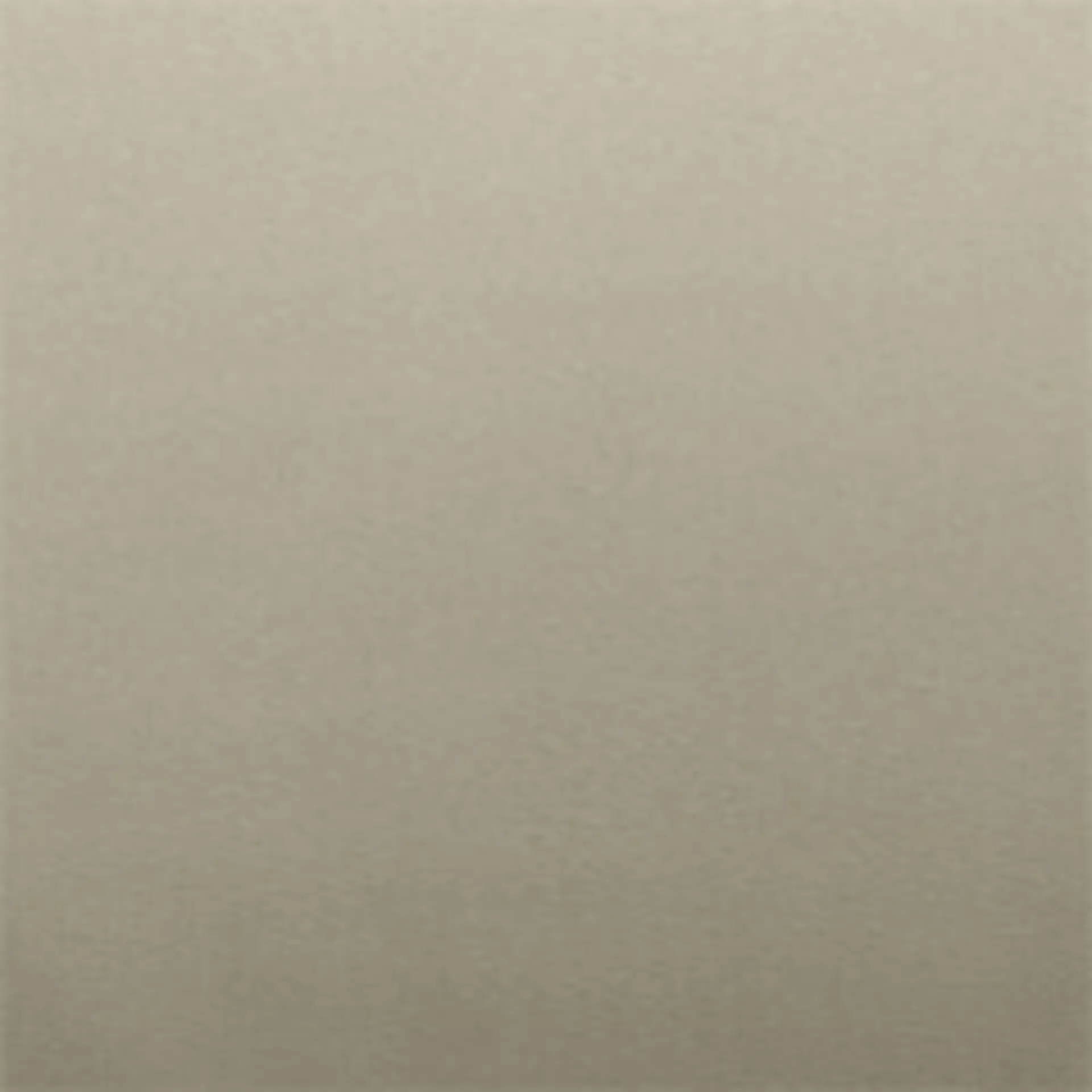 Paloma Light Grey Muster