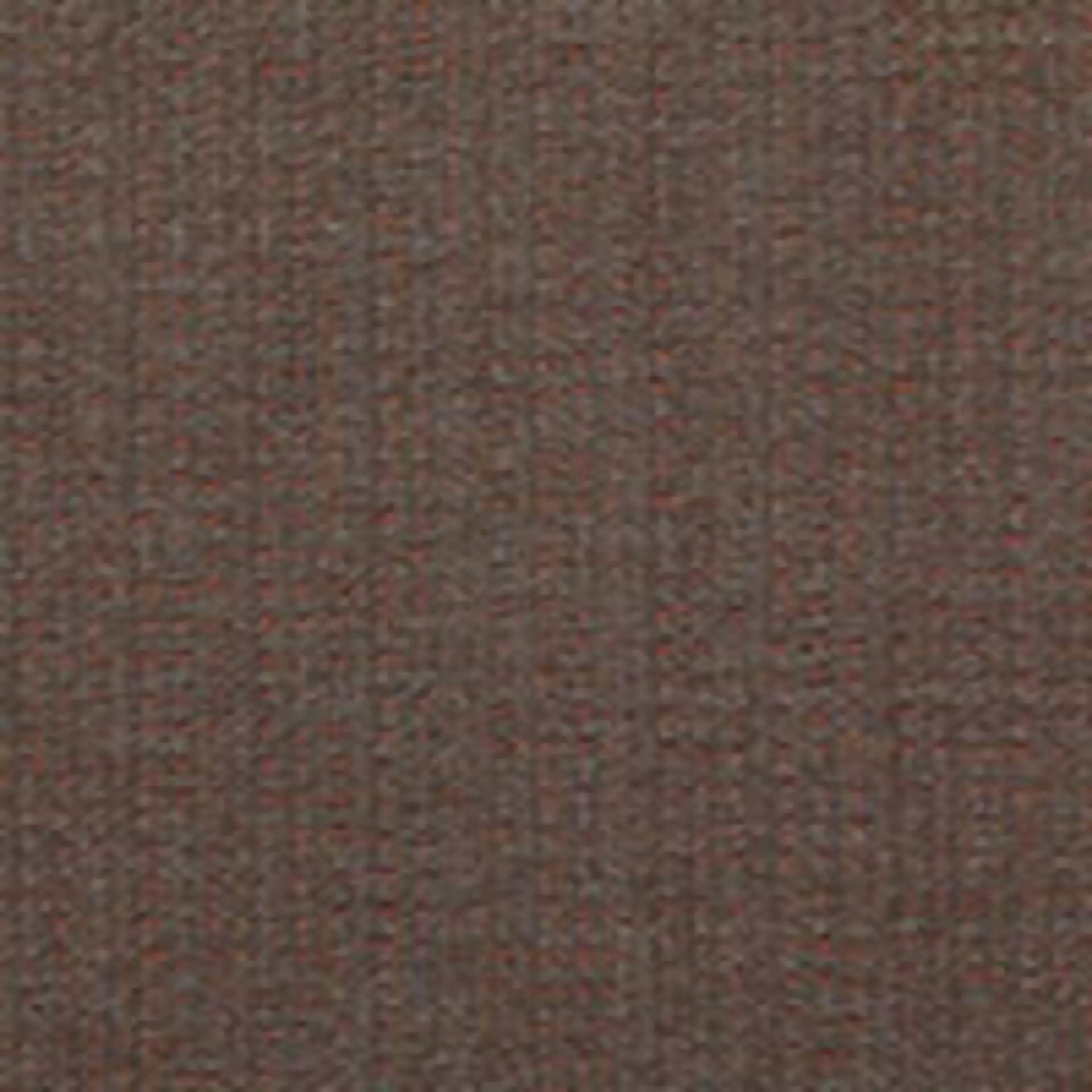 Abelia Chocolate Muster
