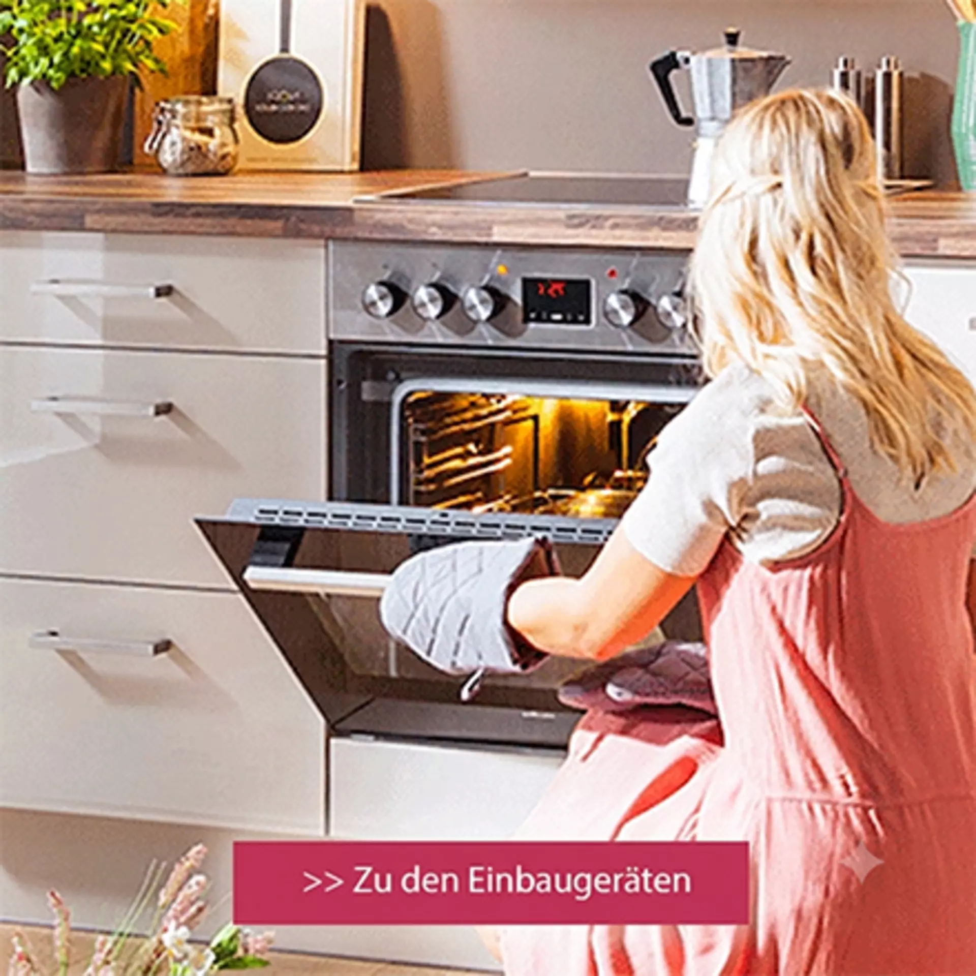 Zu den Küchen Einbaugeräten