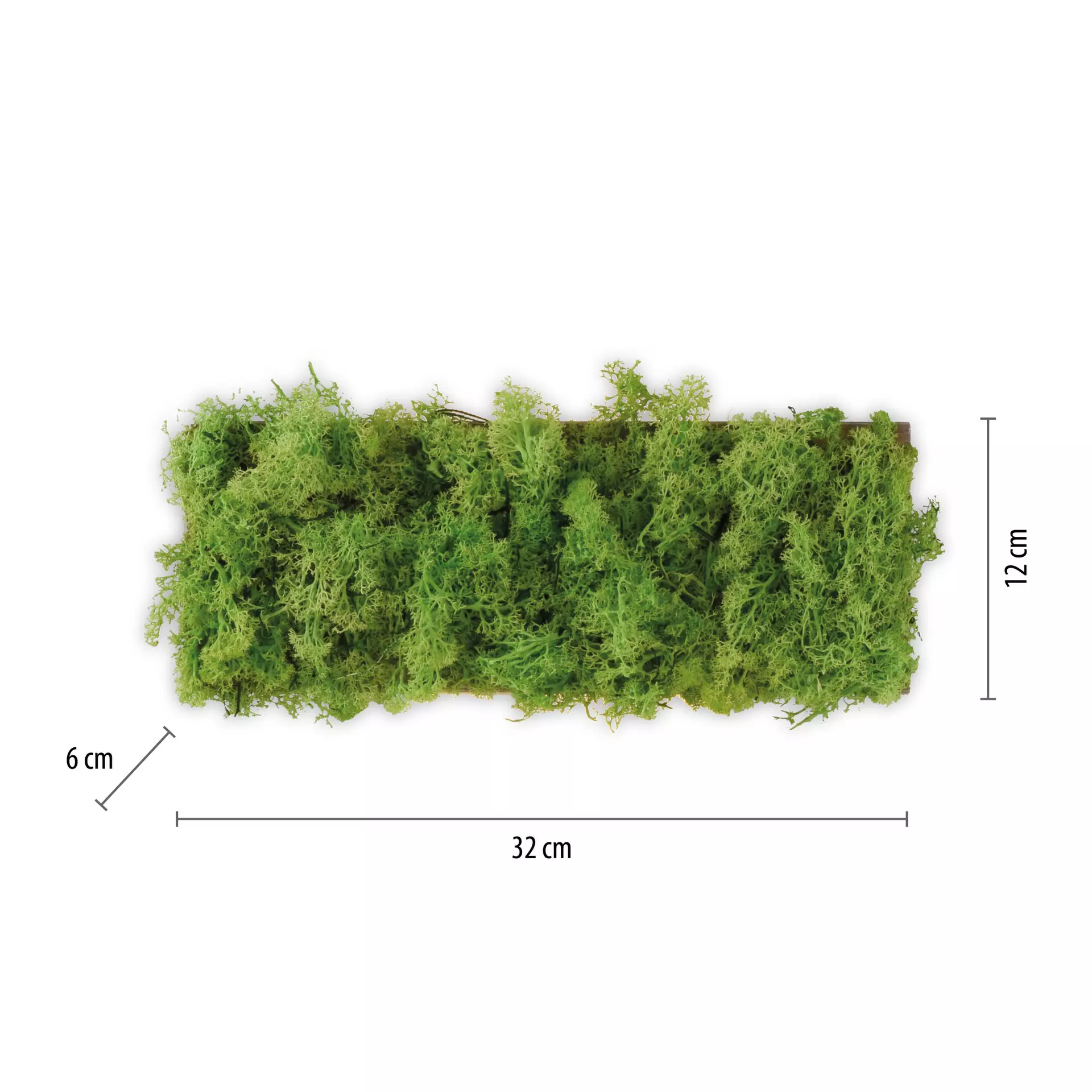 Wandleuchte GREEN CARLO JUST LIGHT Naturmaterialien 6 x 12 x 32 cm