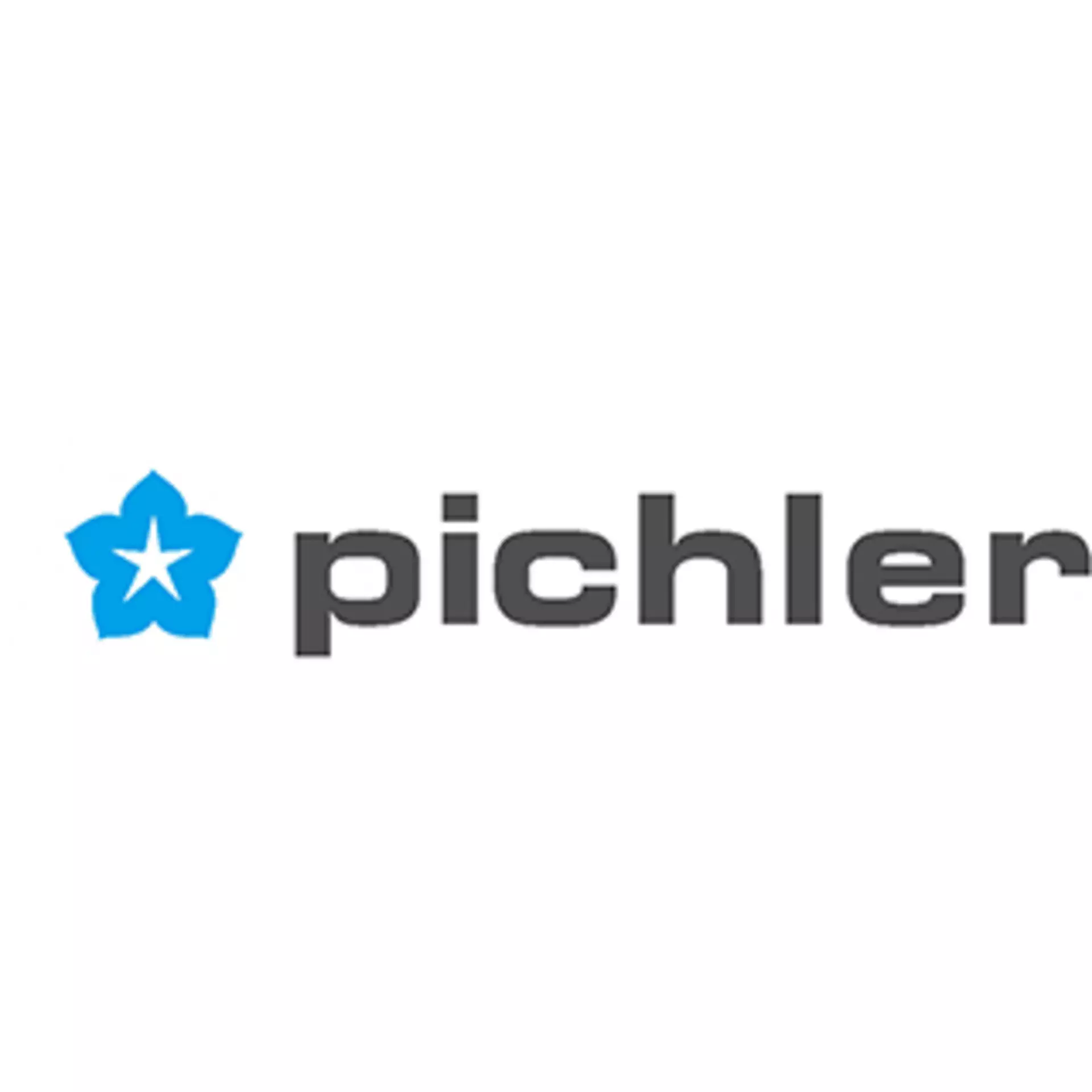 Logo pichler