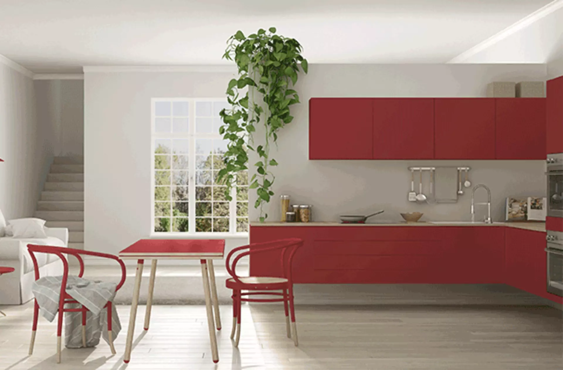 Rote Küche mit Pflanze