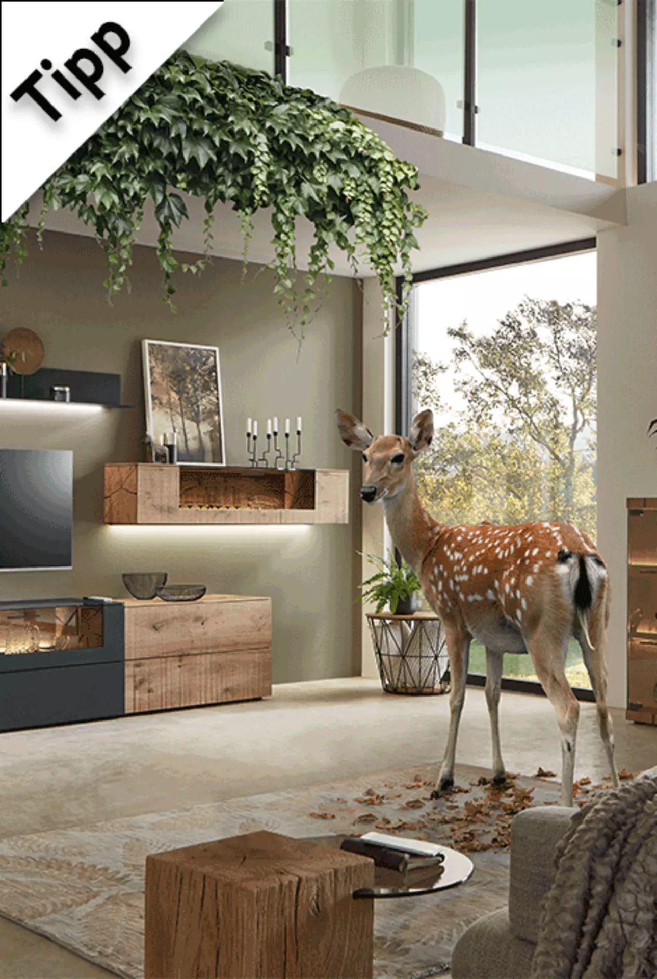 Zum Wohntipp Nachhaltige Möbel