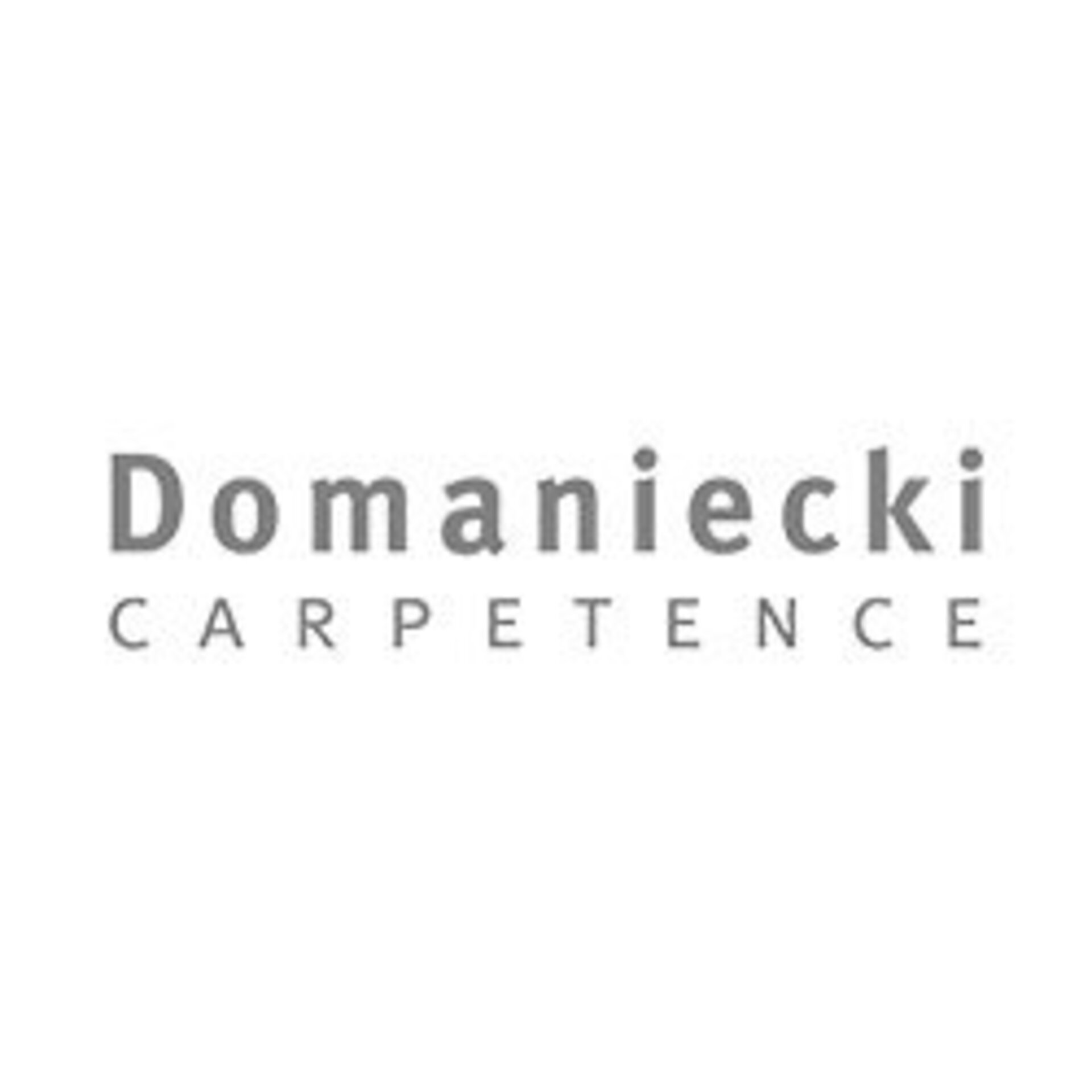 Logo Domaniecki CARPETENCE
