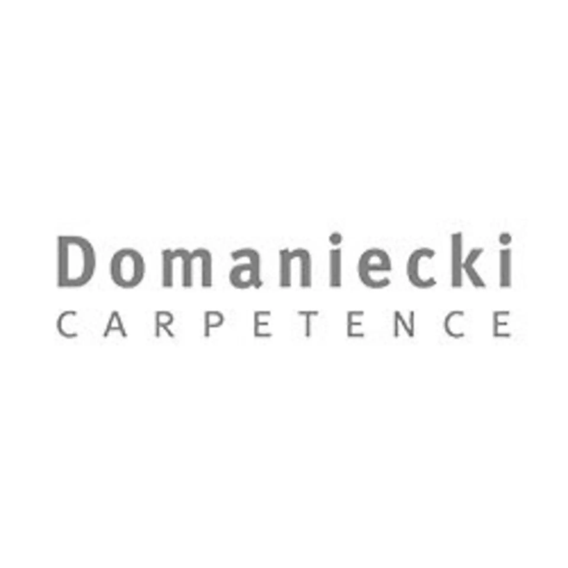 Logo Domaniecki CARPETENCE