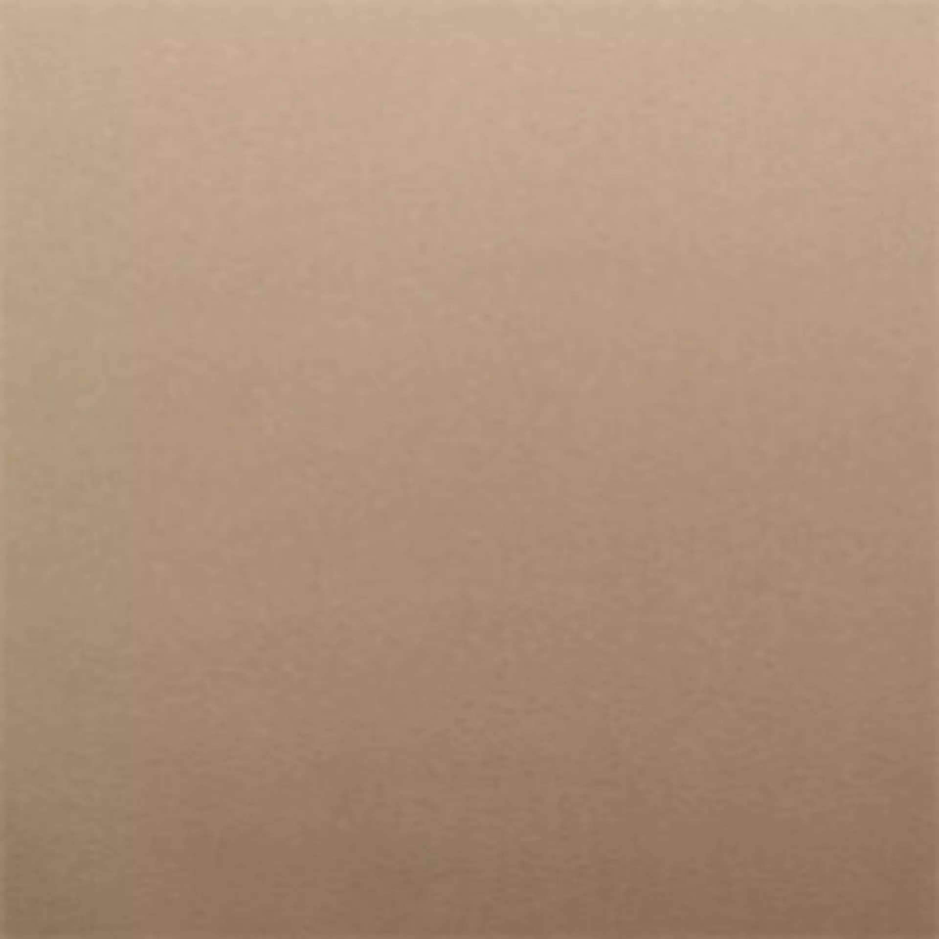 Paloma Beige Muster
