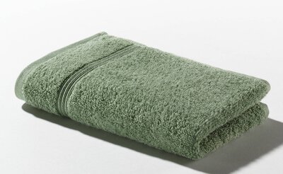 Bild von Gästetuch Ross grün