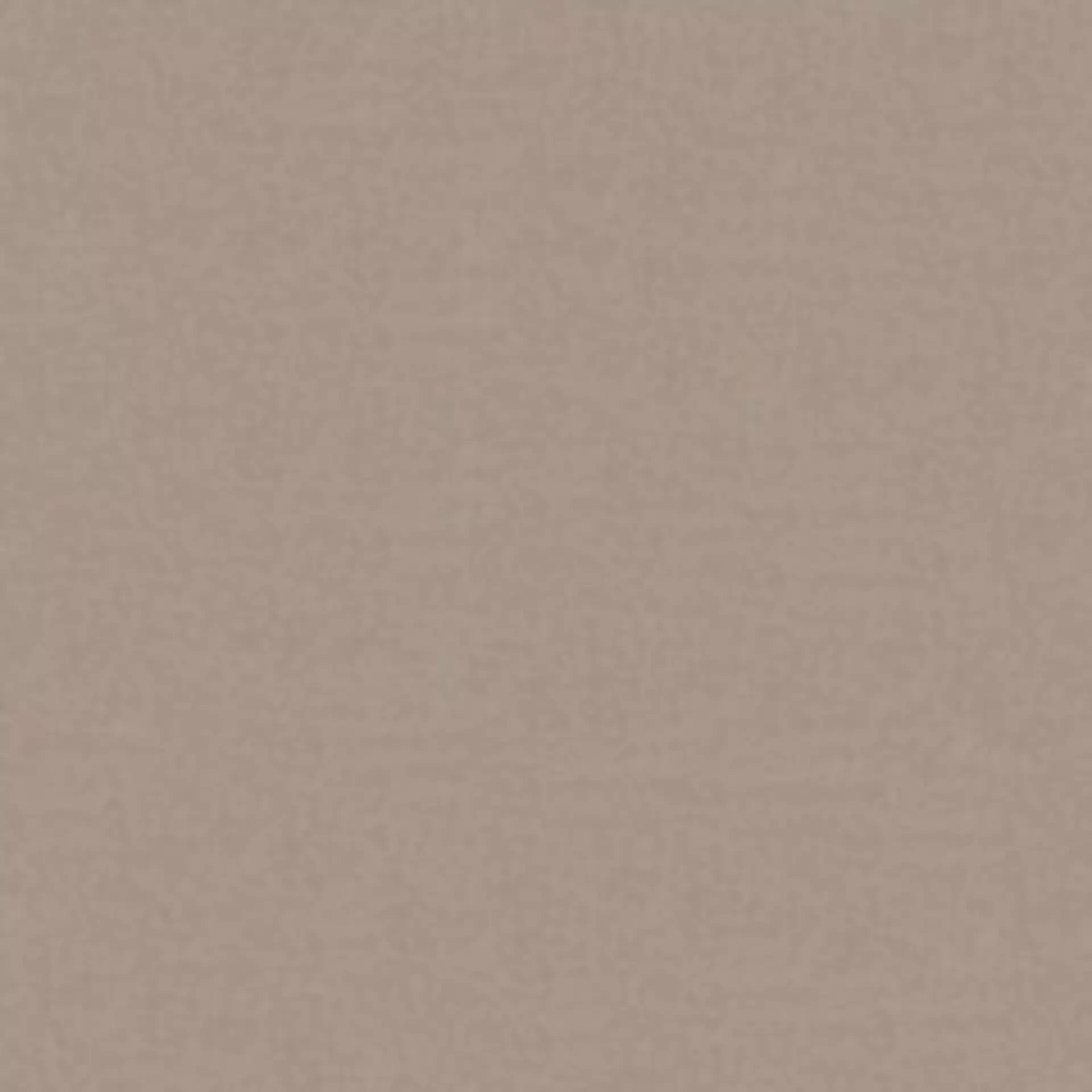 Tulip Light Beige Muster