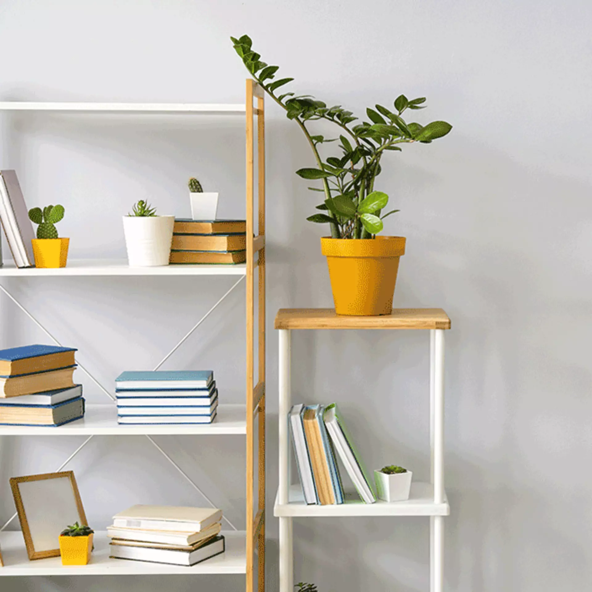 Regale zu Wg-Zimmer einrichten | Möbel Inhofer