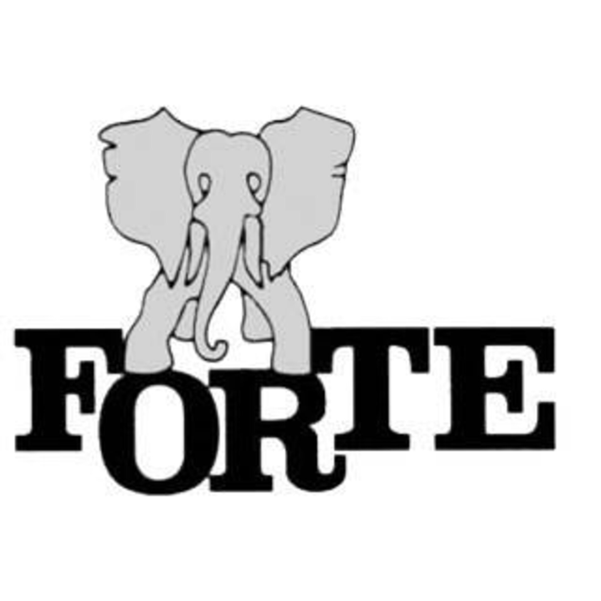 Logo FORTE