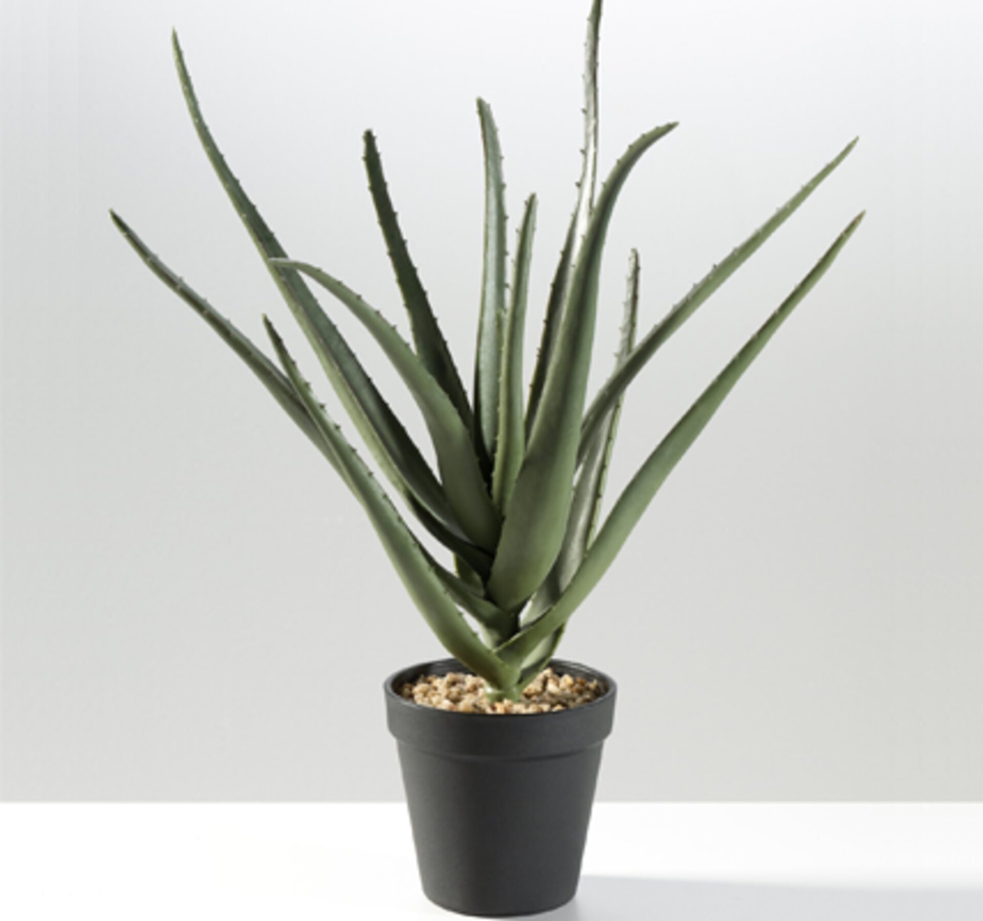 Kunstpflanze in Aloe-Vera-Optik