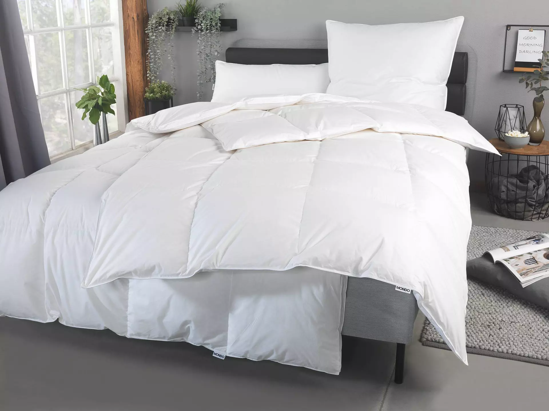 Kopfkissen Elvy MONDO Textil 40 x 80 cm