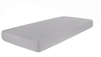 Bild von Jersey-Spannbetttuch Pro Night silber