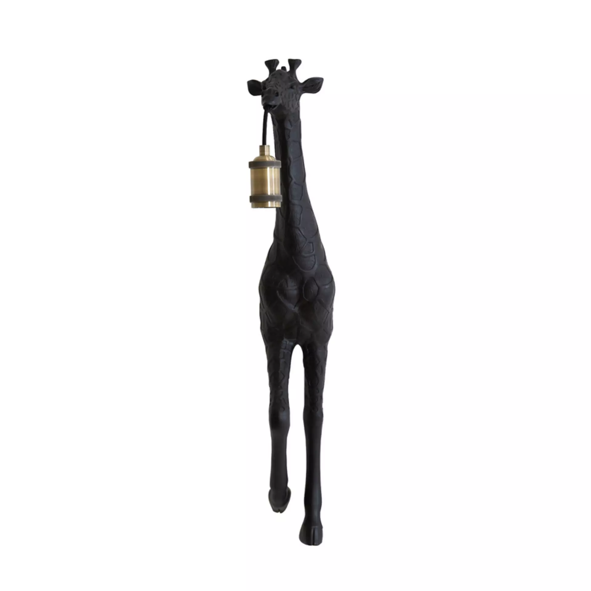 Wandleuchte GIRAFFE Light & Living Metall 