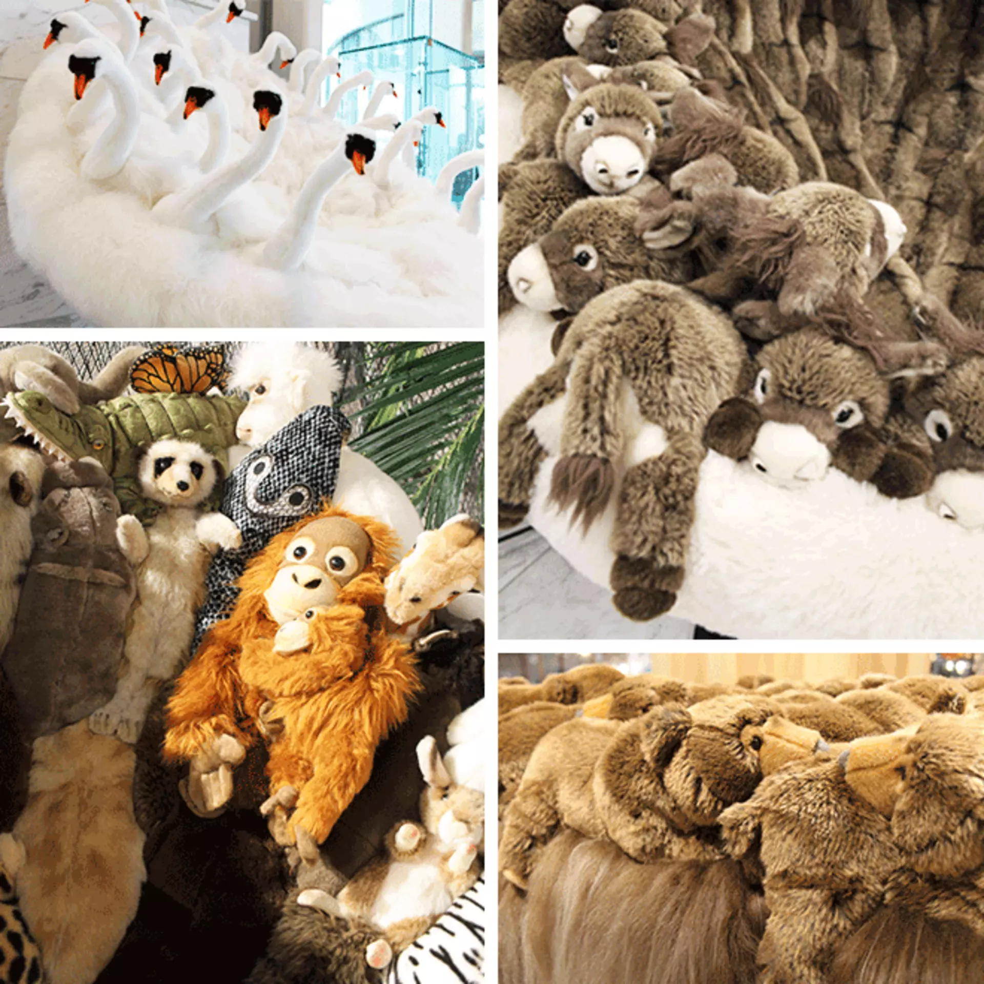 Kuscheltiere im Detail