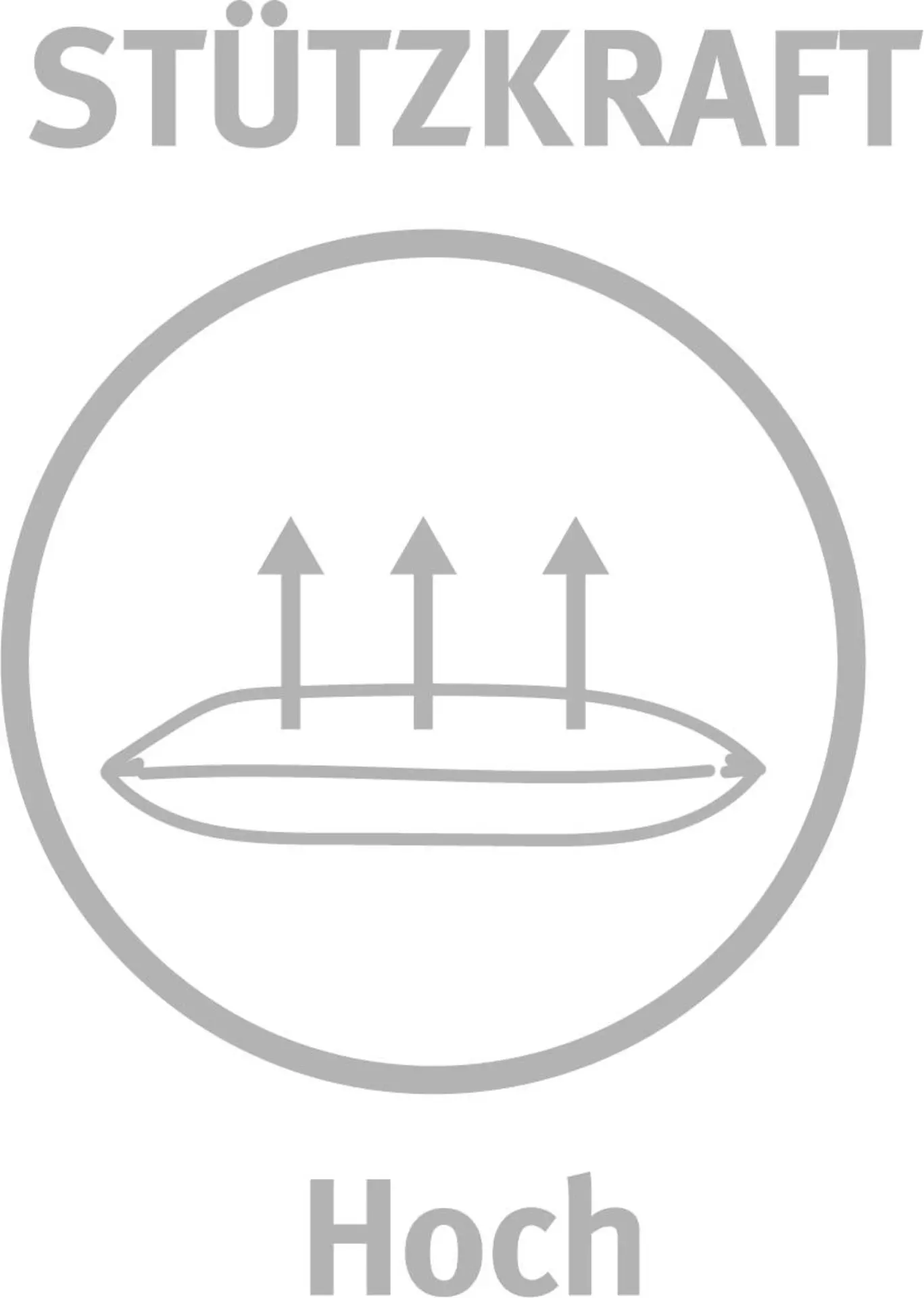 Kopfkissen Softy Duett Plus Bio Paradies Textil 40 x 80 cm