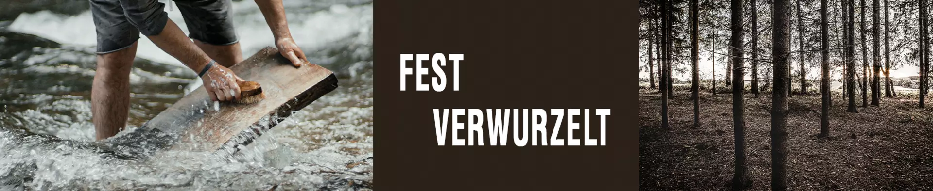 Fest verwurzelt: Janua sind Möbel, die mit der Natur leben