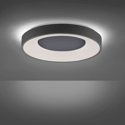 Bild von Deckenleuchte LED Fernbedienung grau