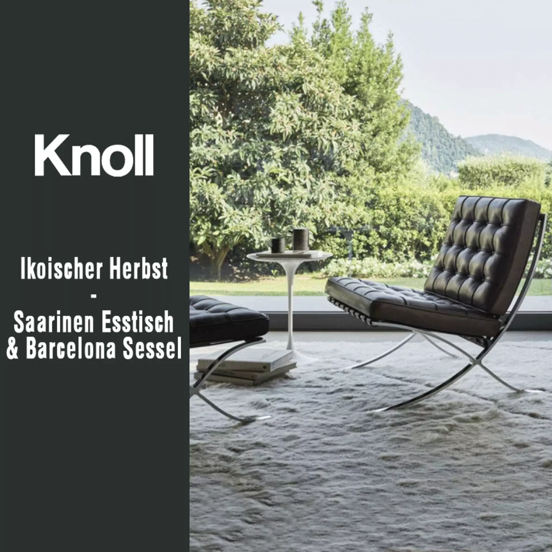 Ikonischer Herbst mit Knoll International: der Tulip Esstisch & Barcelona Sessel zum Interni Aktionspreis. Jetzt entdecken!