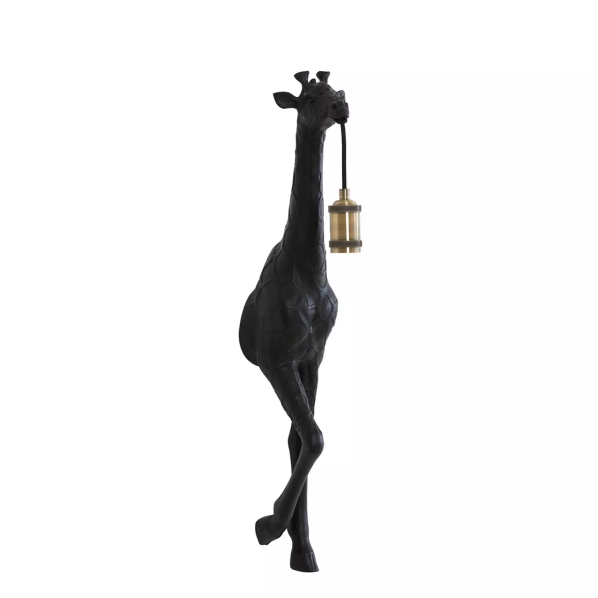 Wandleuchte GIRAFFE Light & Living Metall 