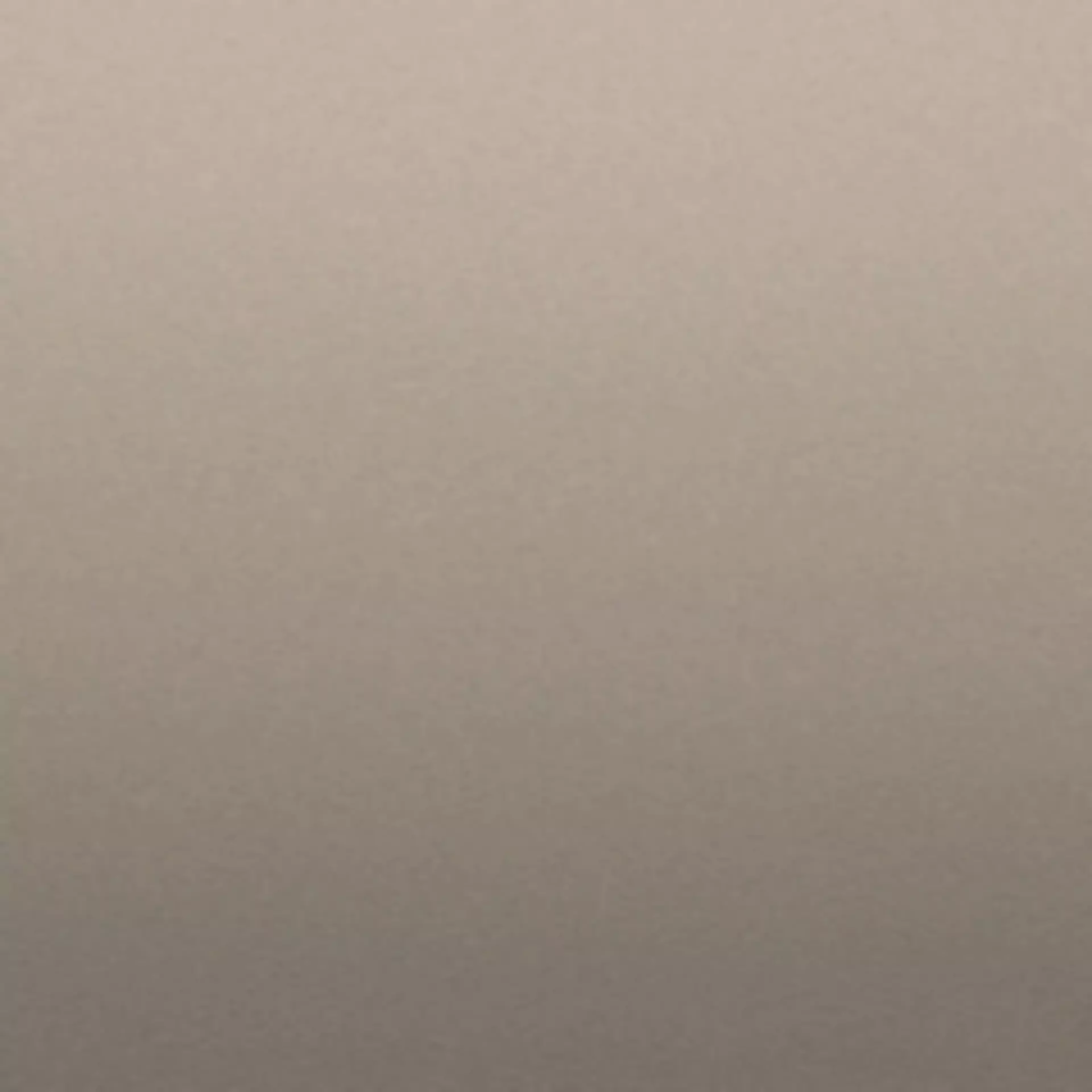 Paloma Fog Muster