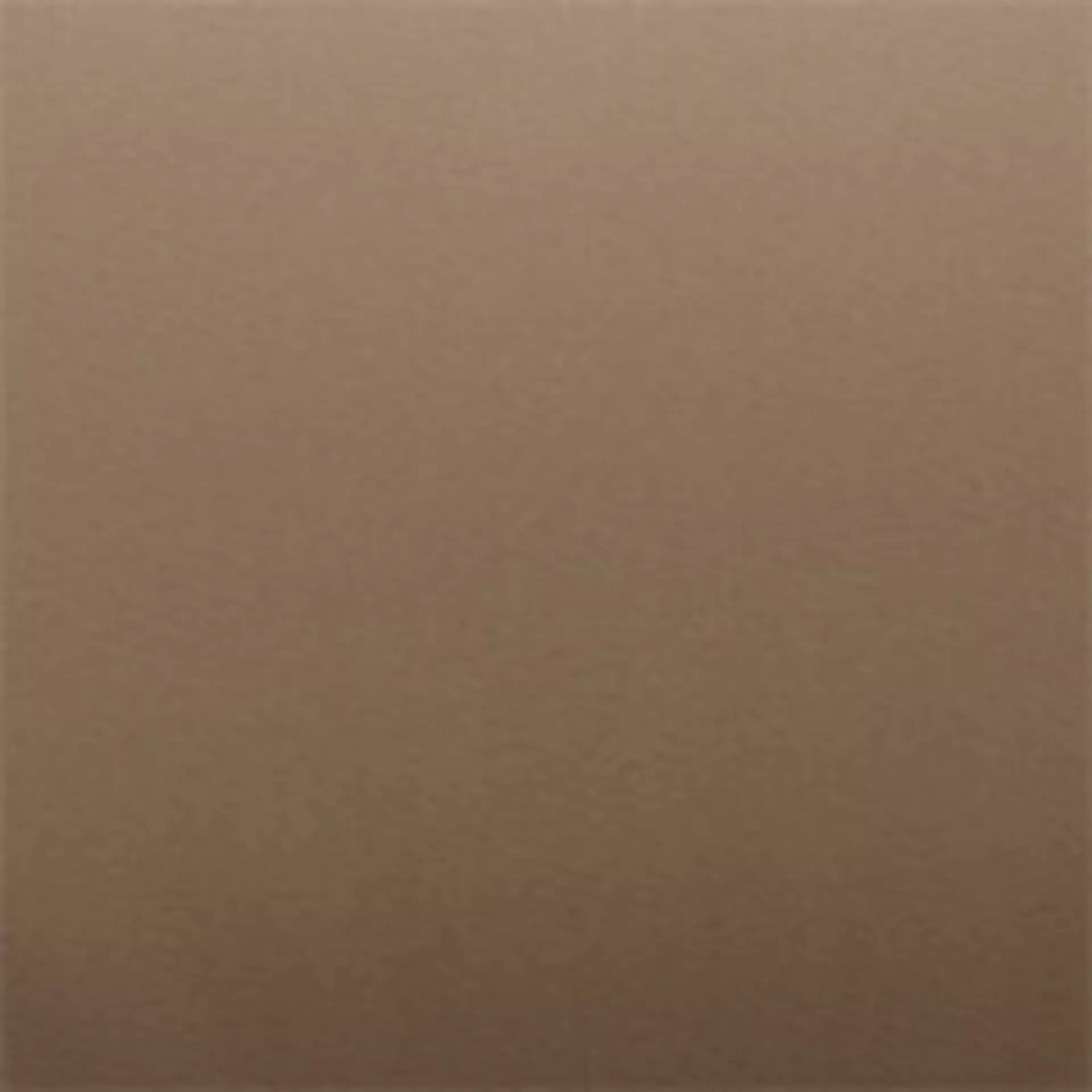 Paloma Almond Muster