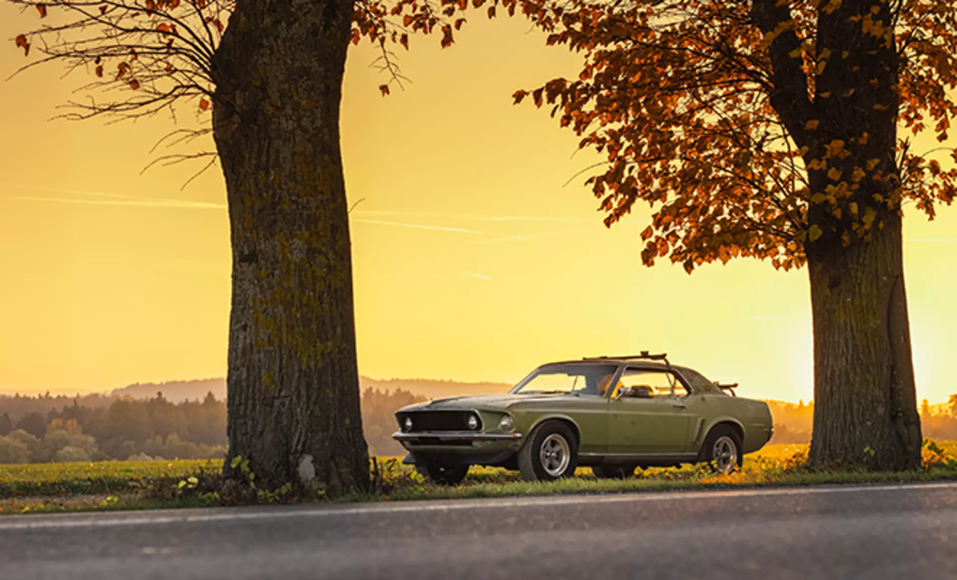 Oldtimer steht zwischen zwei Bäumen vor schöner Landschaft