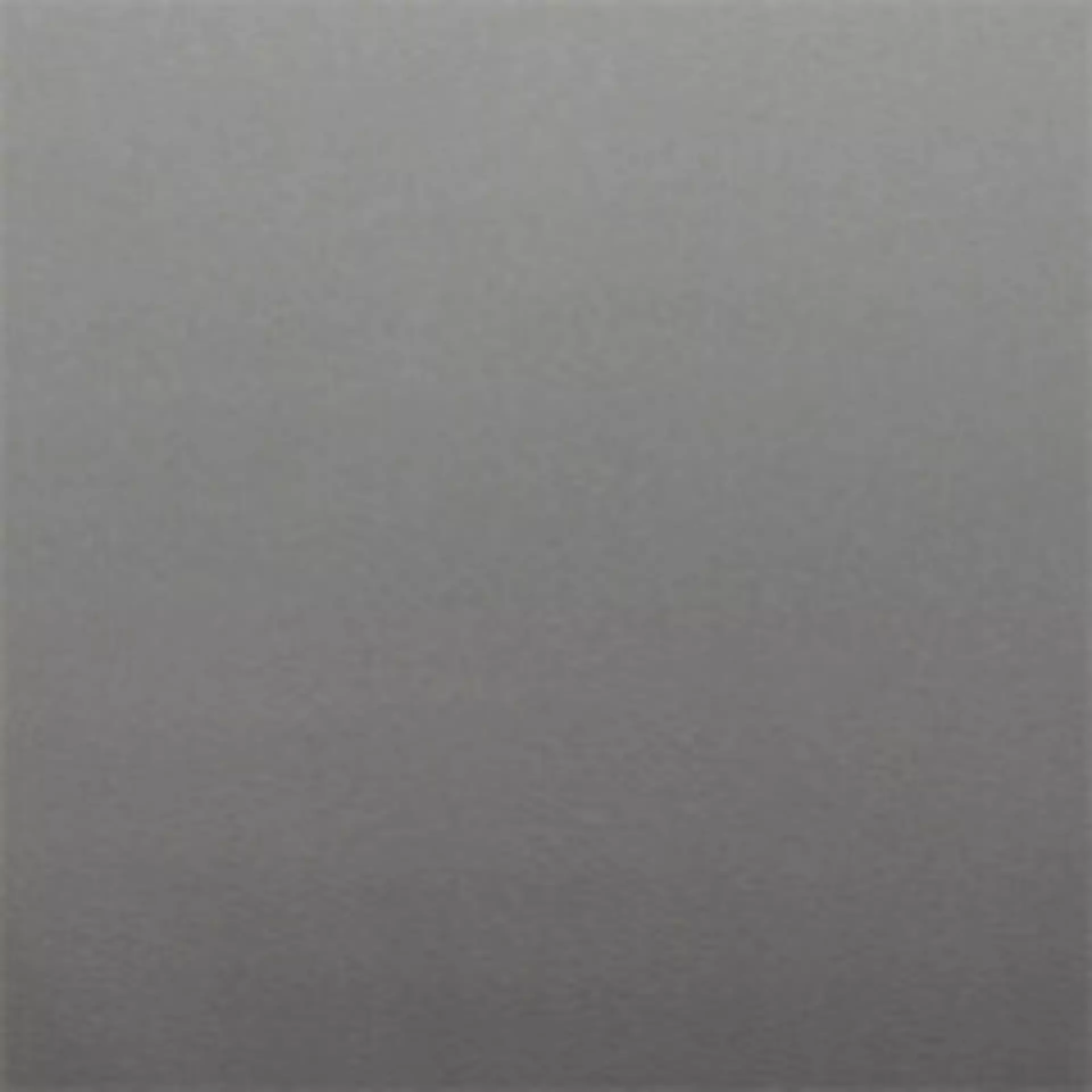 Paloma Silver Grey Muster