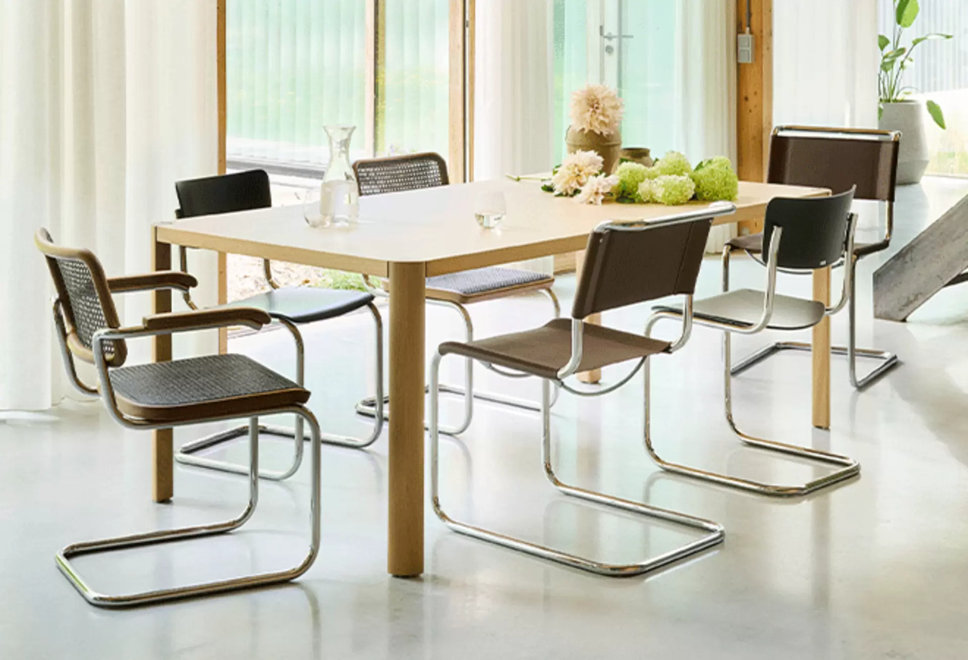 Moderne Essgruppe mit Thonet Freischwinger-Stühlen aus Leder an einem hellen Holz-Esstisch