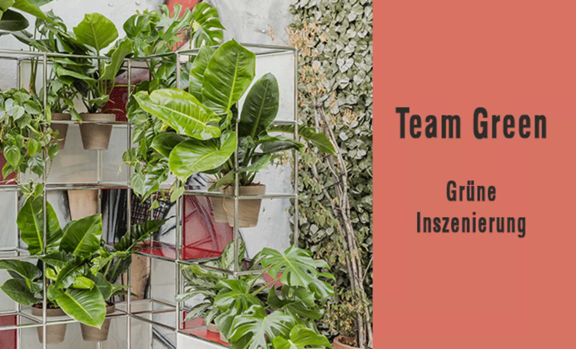 Teaserbild zur Inspirationsseite "Team Green". Nachhaltig einrichten mit USM