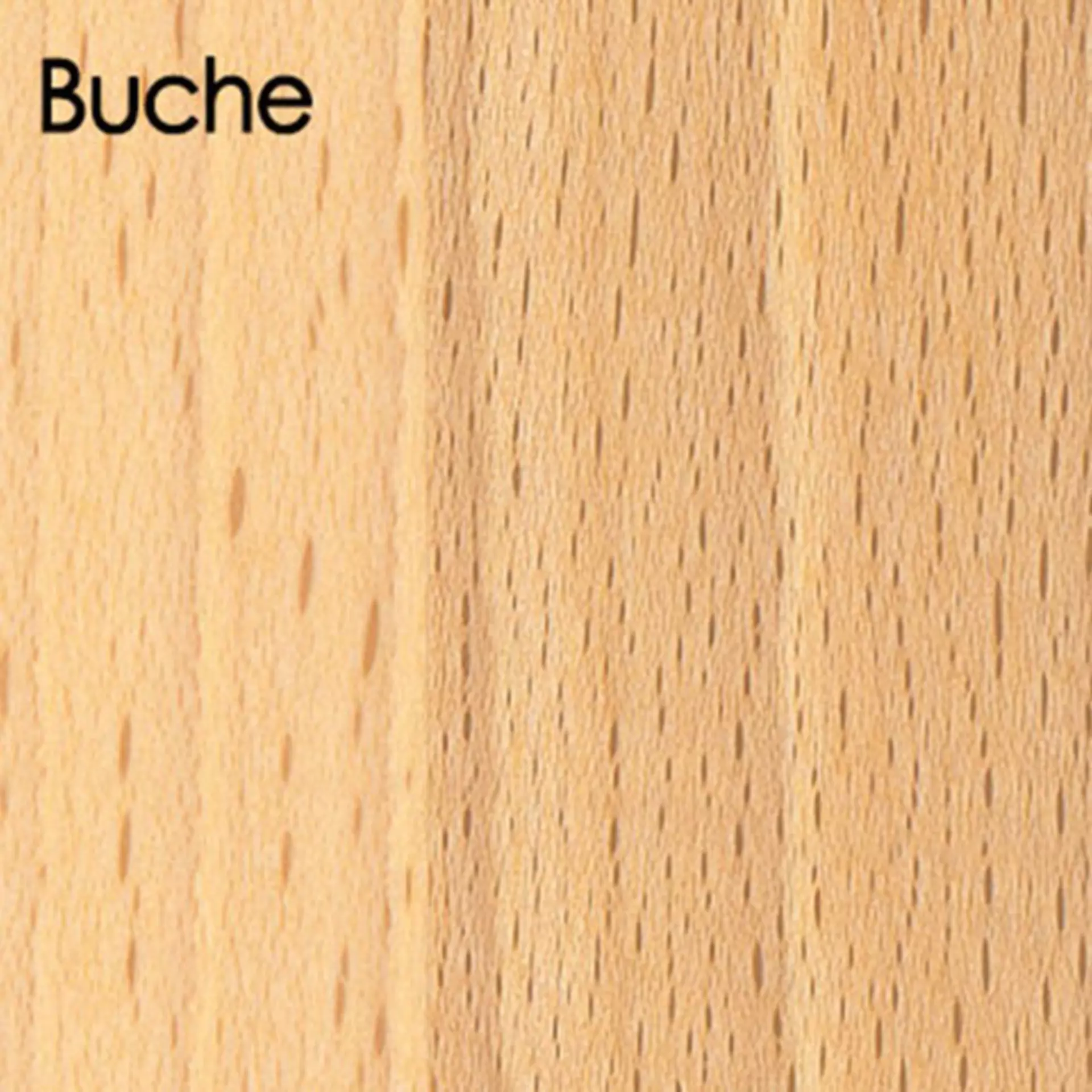 So sieht Buchenholz aus