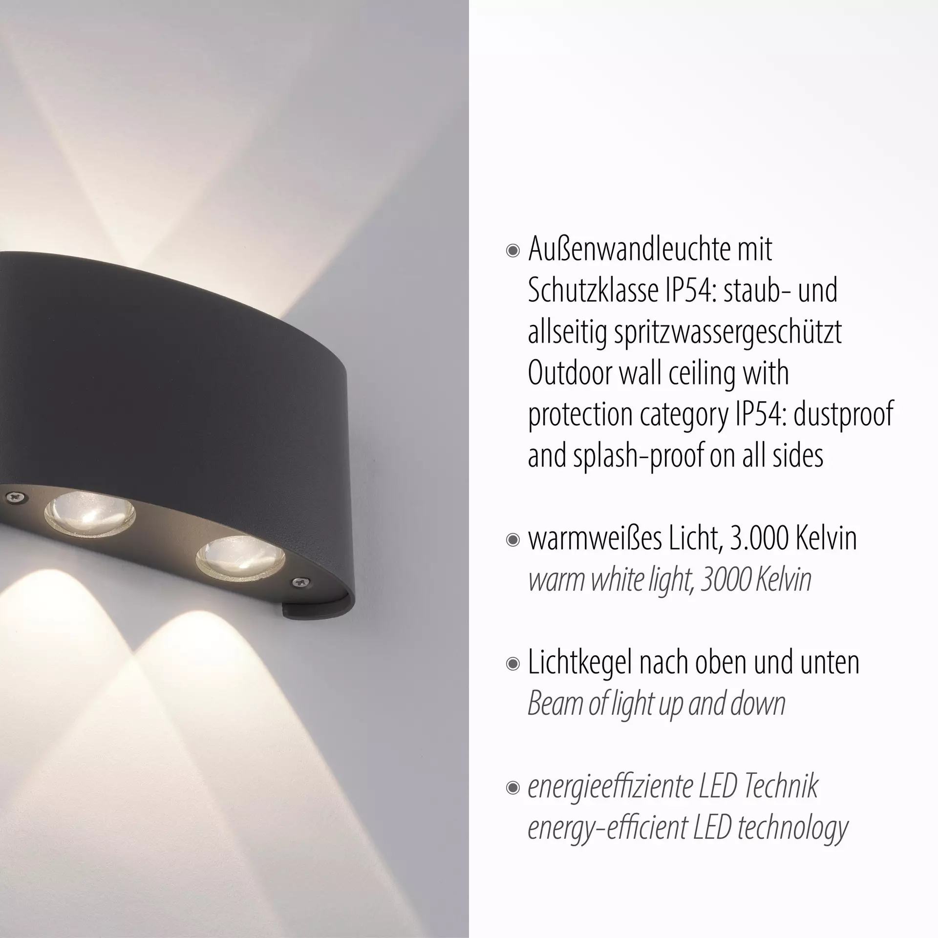 Wand-Aussenleuchte LED Inhofer schwarz Möbel 