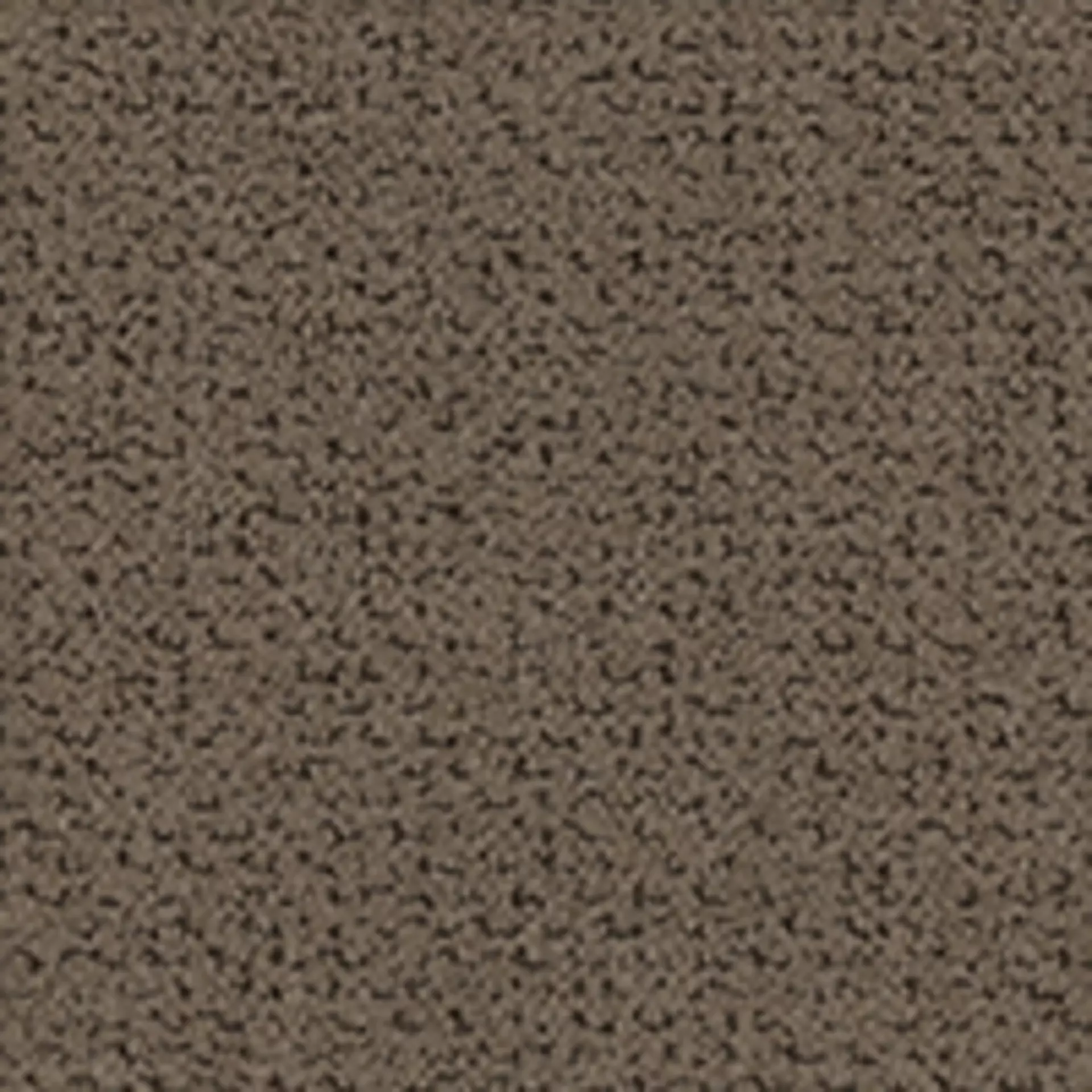 Marigold Mole Muster