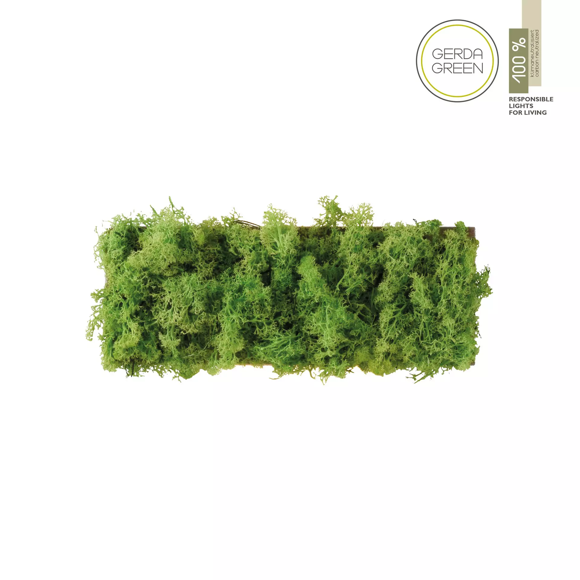 Wandleuchte GREEN CARLO JUST LIGHT Naturmaterialien 6 x 12 x 32 cm