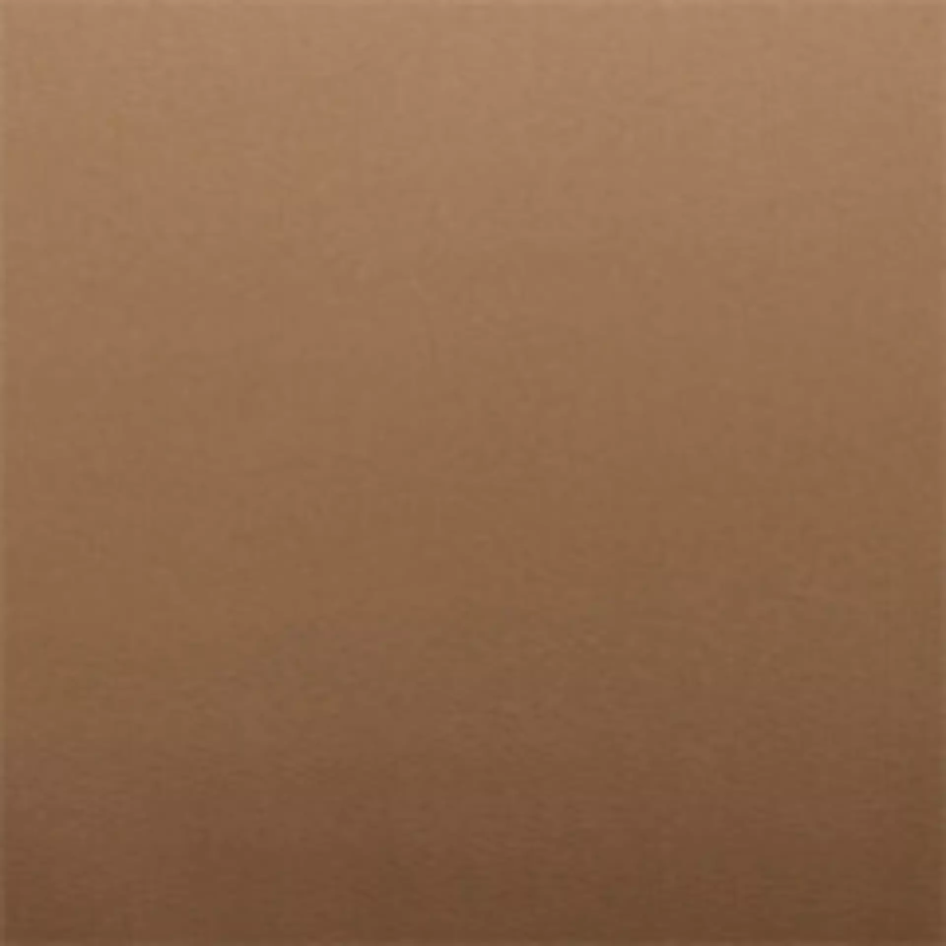 Paloma Taupe Muster