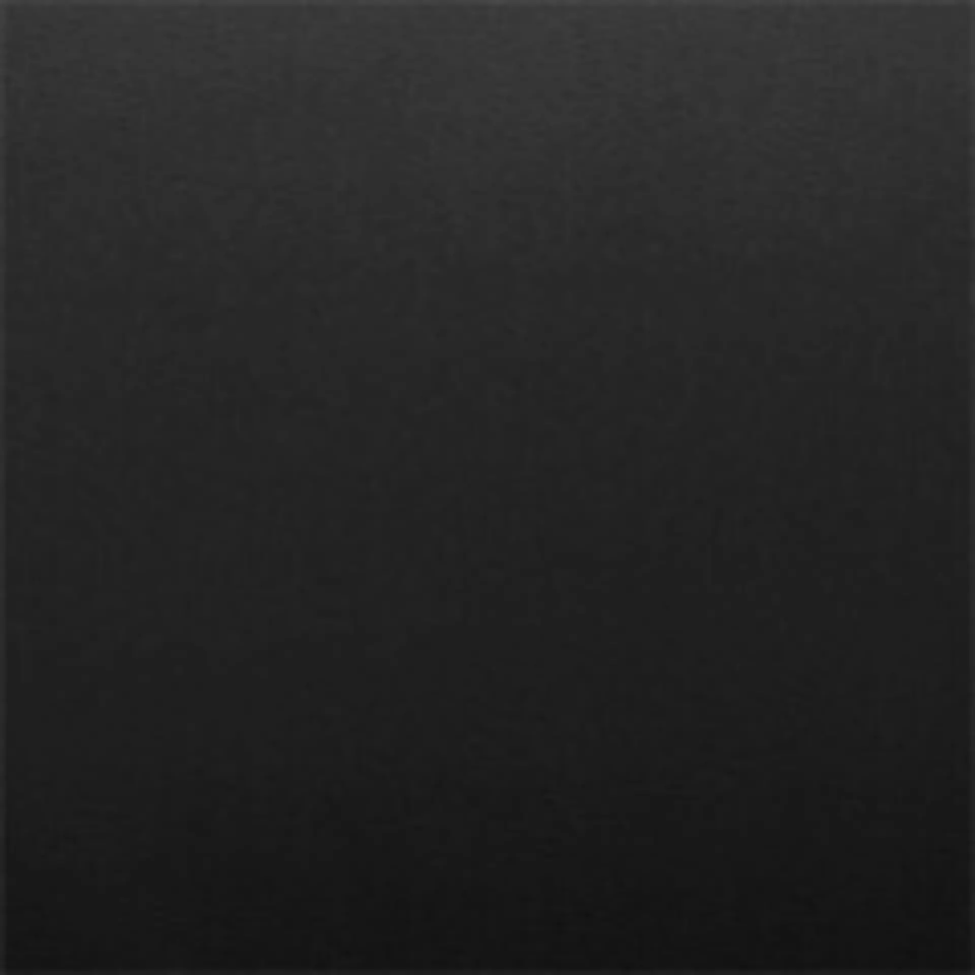 Paloma Black Muster