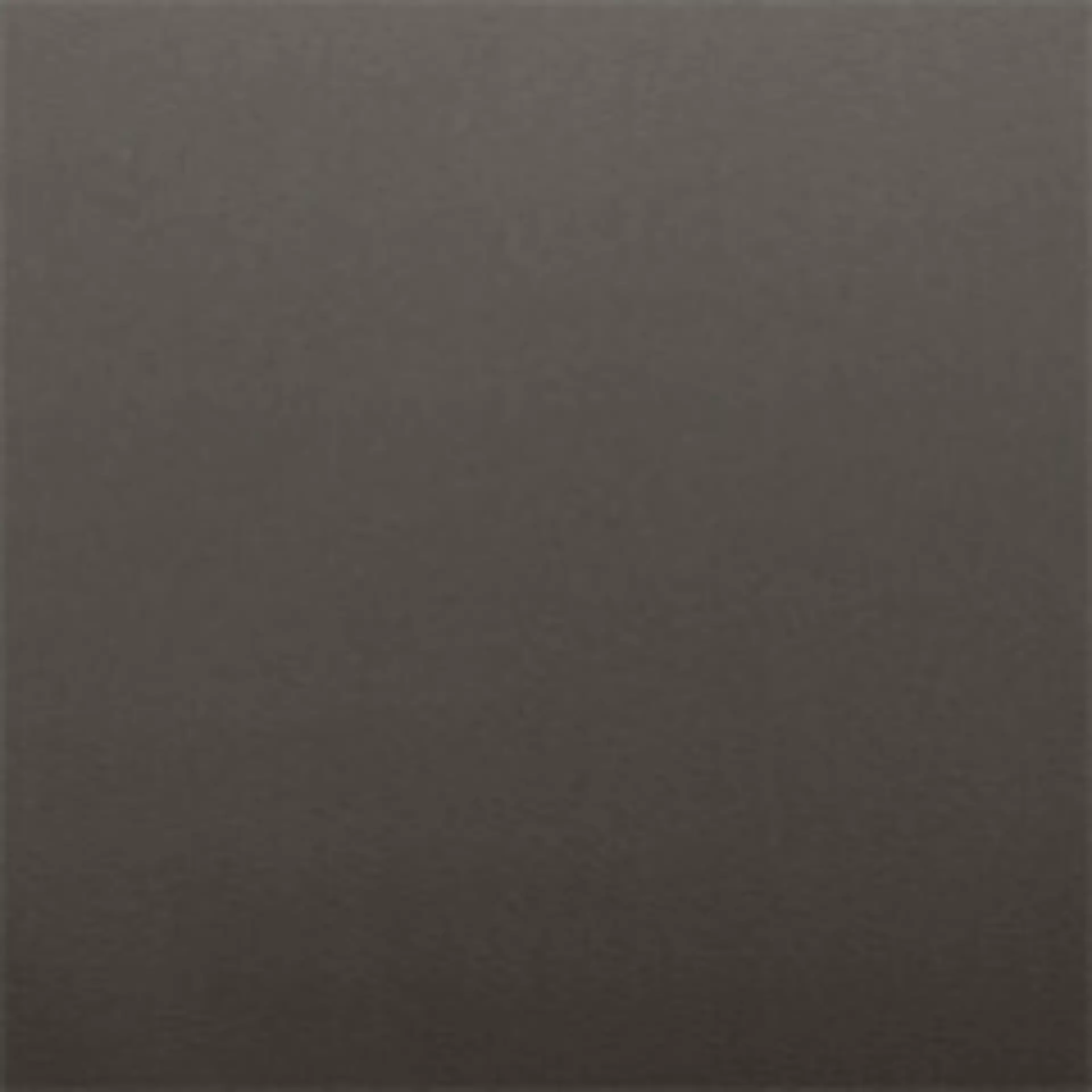 Paloma Metal Grey Muster