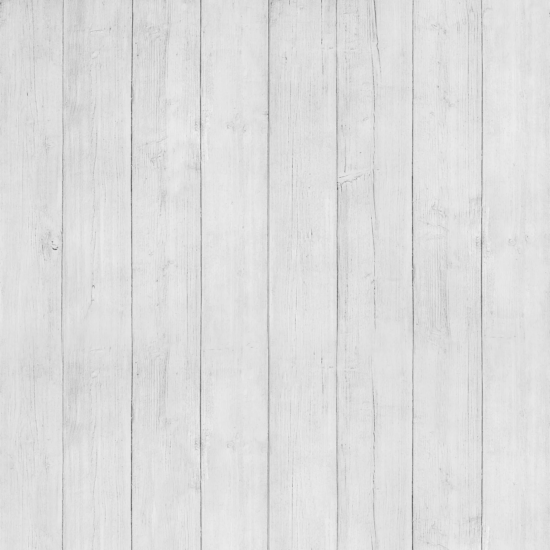 Bild Wood Weiß Pro-Art Glas 50 x 50 x 1 cm