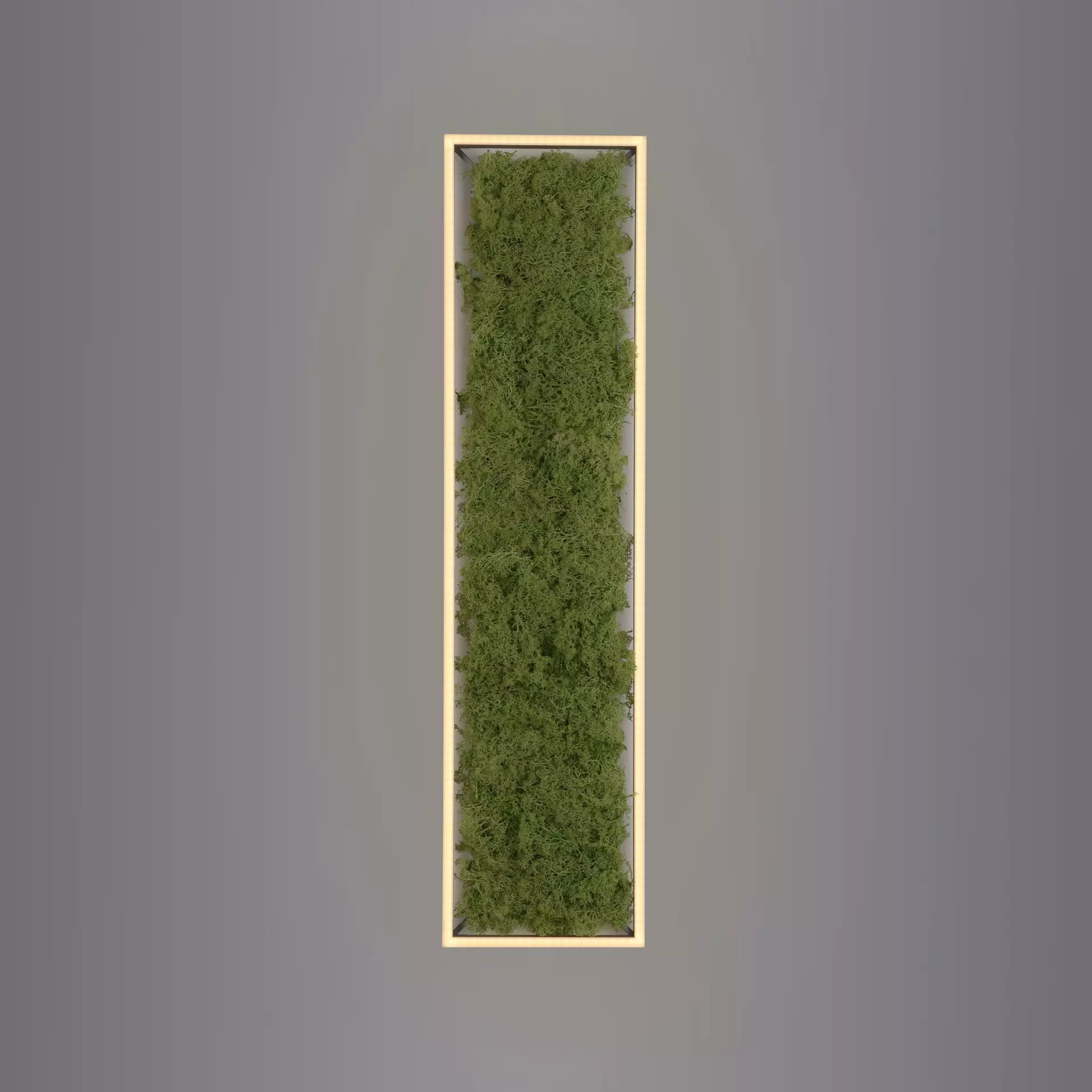 Deckenleuchte GREEN KNUT JUST LIGHT Naturmaterialien 100 x 5 x 25 cm