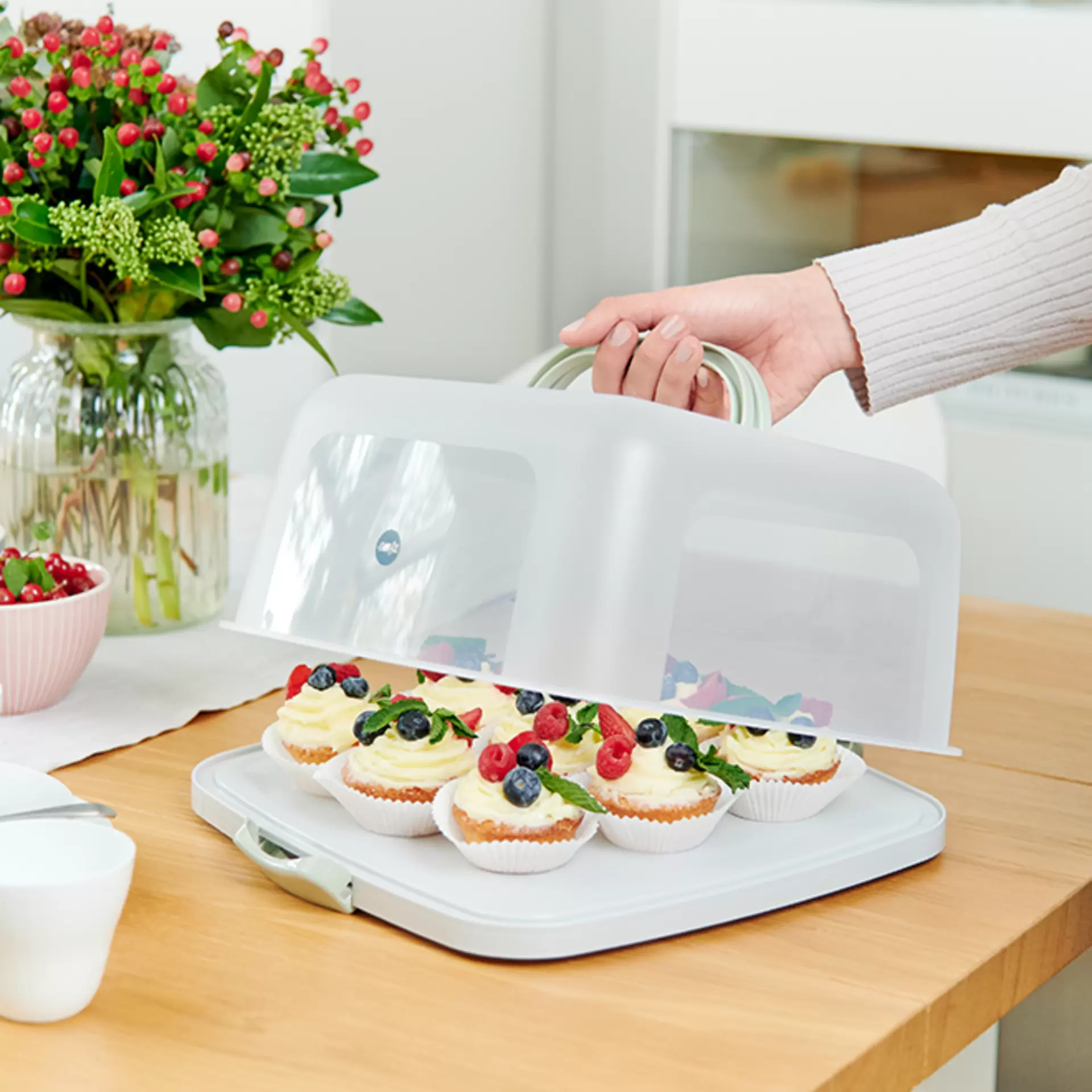 eine Emsa Kuchentransportbox mit Grifen in welcher sich leckere Frucht-Muffins befinden