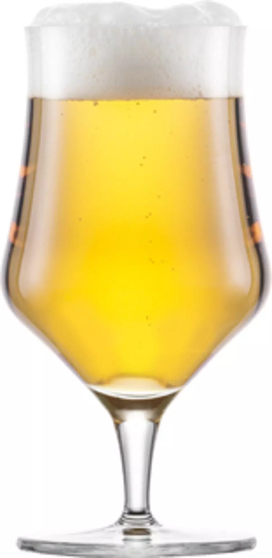 Bierglas BEER BASIC Zwiesel Glas 1 x 